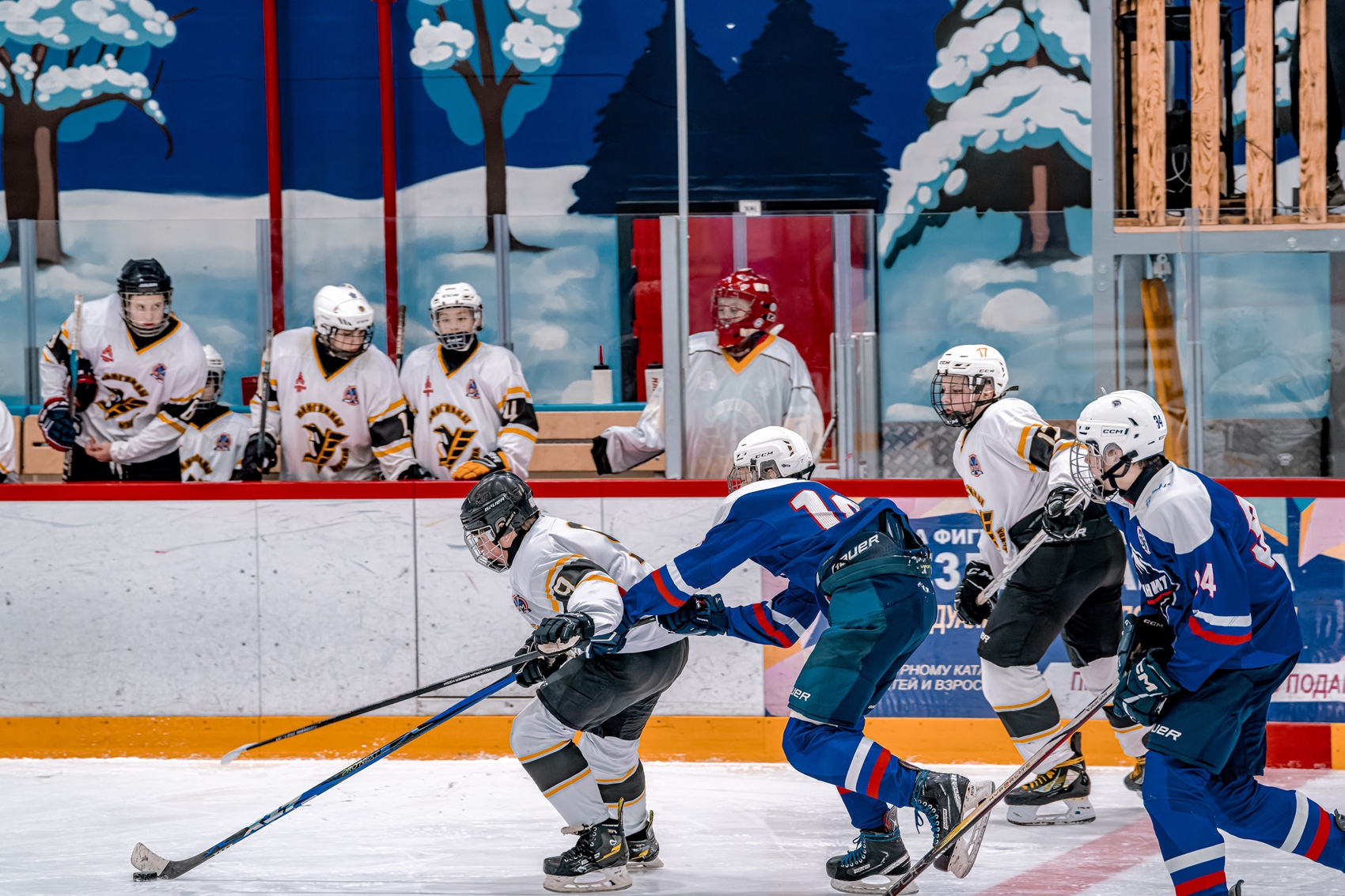 Фото: Гранит-2011 – Пингвины – 2:5