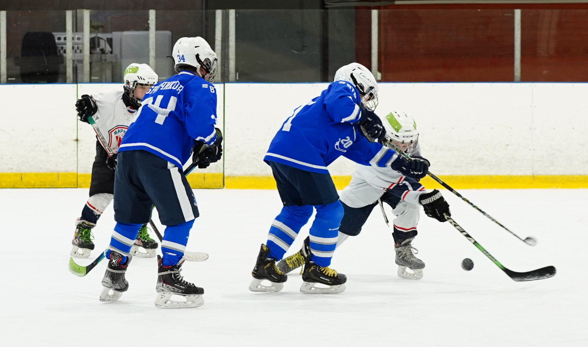Фото: Динамо-2015 – Марьино – 13:9 