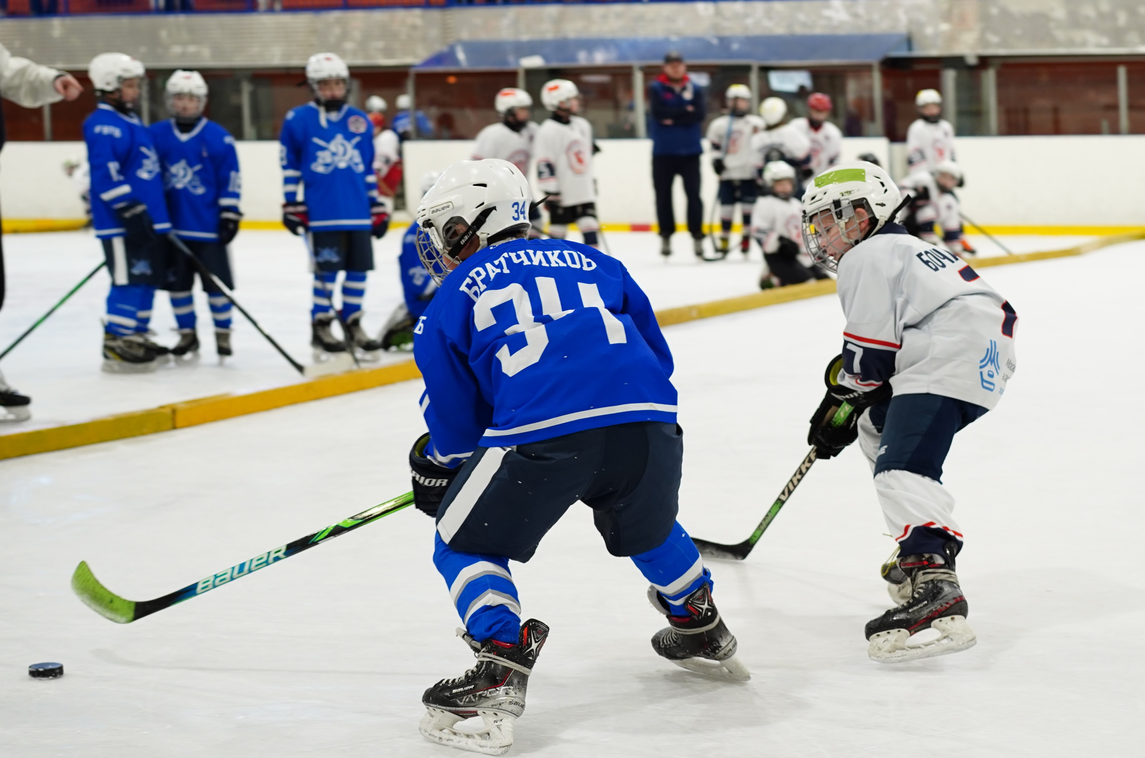 Фото: Динамо-2015 – Марьино – 13:9 