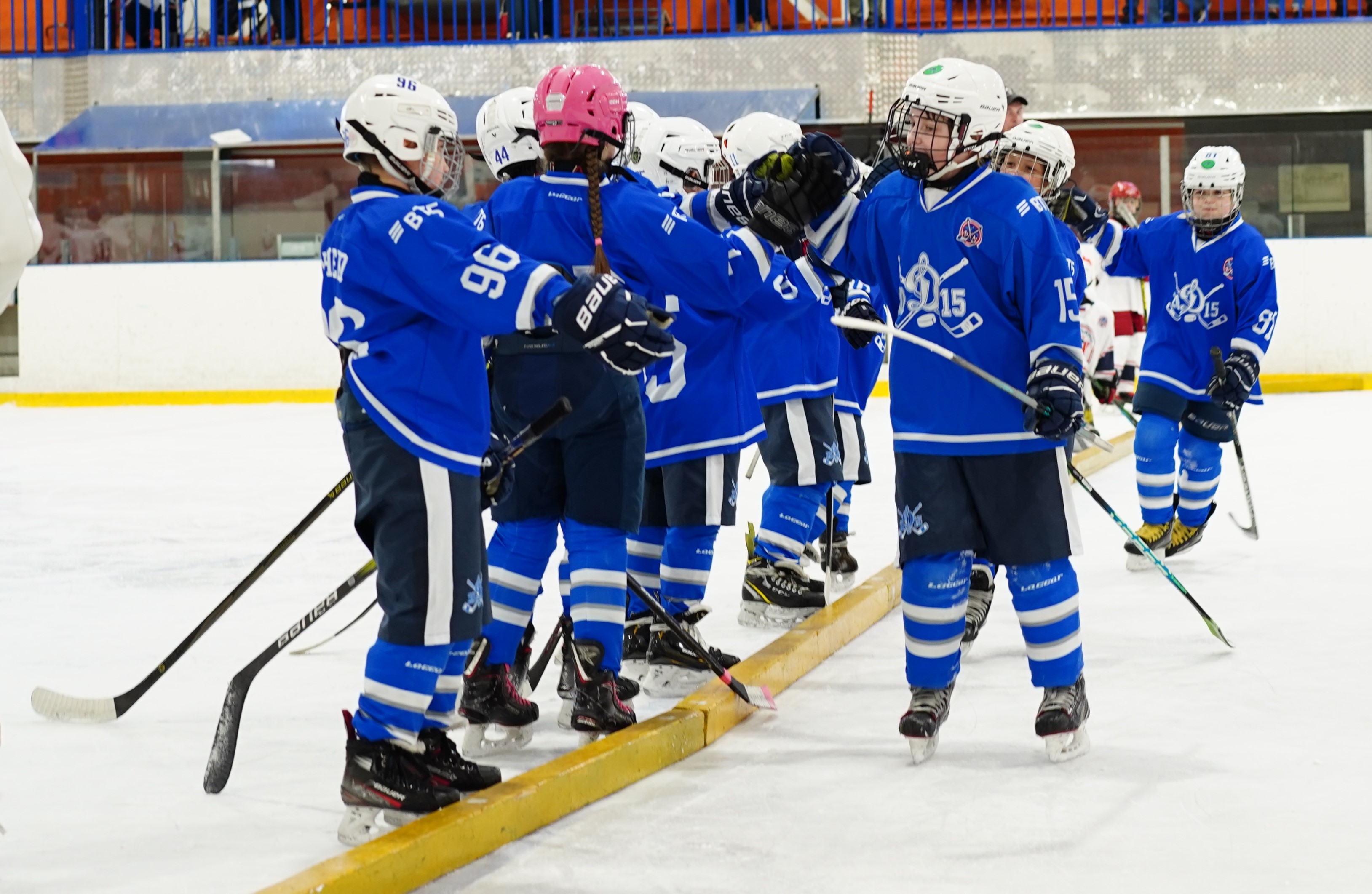 Фото: Динамо-2015 – Марьино – 13:9 