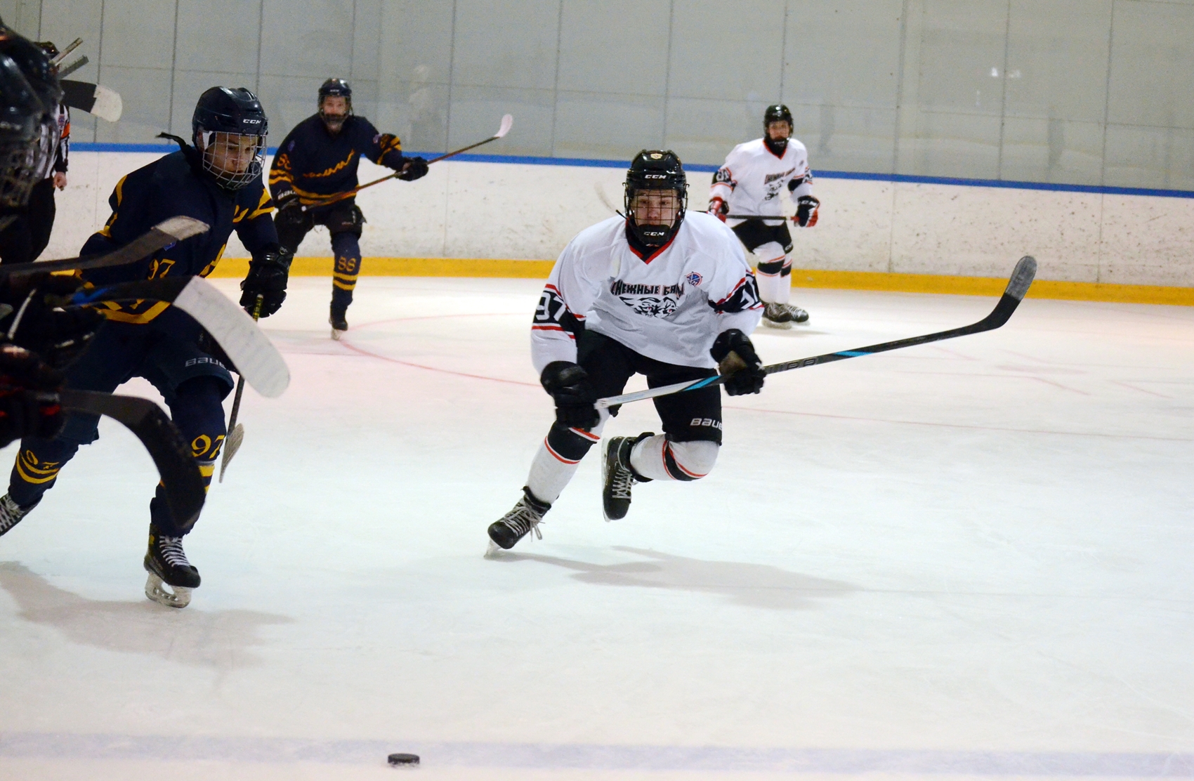 Фото: Химик-2009 – Снежные Барсы – 9:2