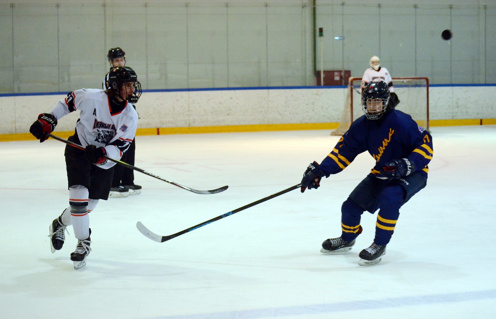 Фото: Химик-2009 – Снежные Барсы – 9:2