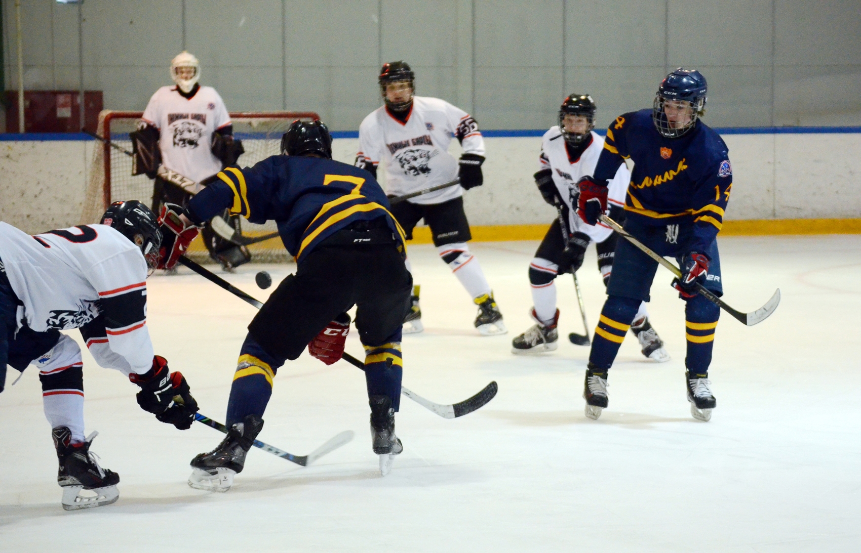 Фото: Химик-2009 – Снежные Барсы – 9:2