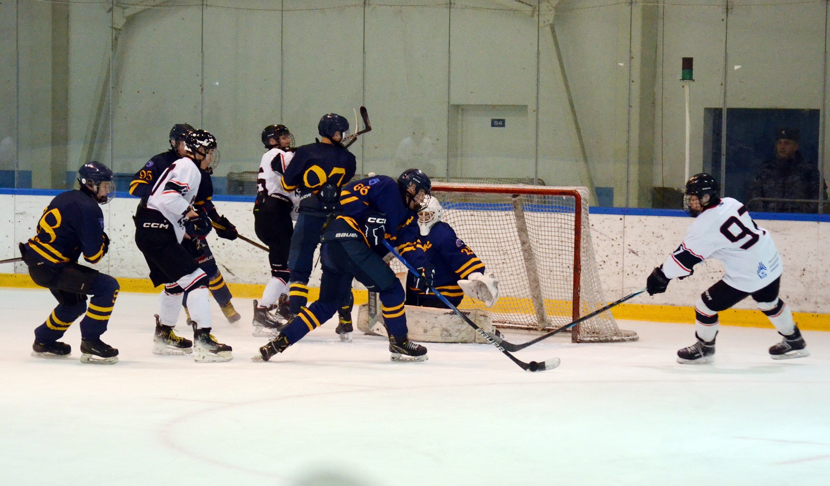 Фото: Химик-2009 – Снежные Барсы – 9:2