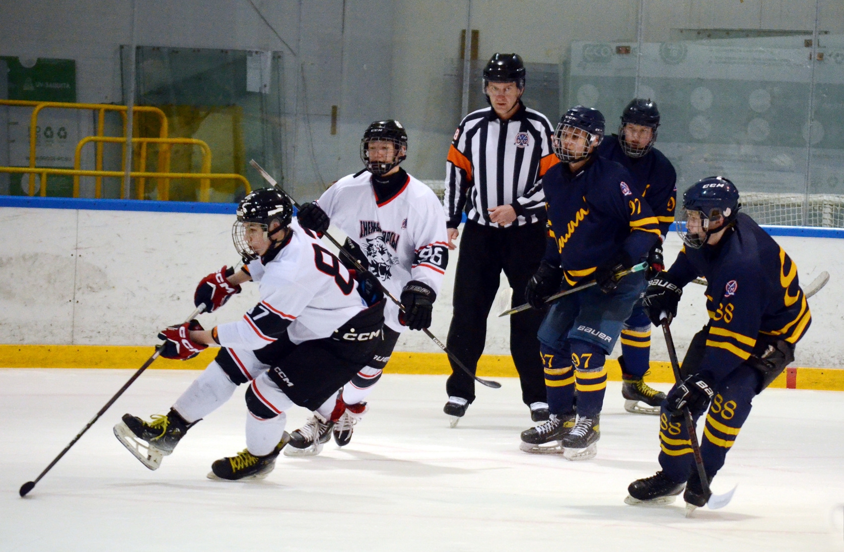 Фото: Химик-2009 – Снежные Барсы – 9:2