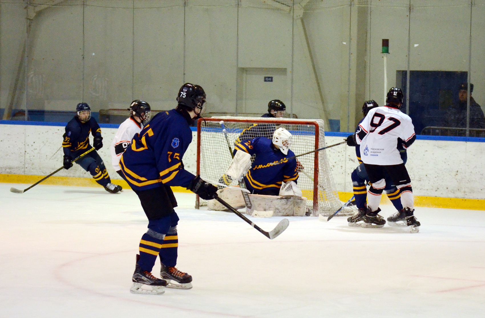 Фото: Химик-2009 – Снежные Барсы – 9:2