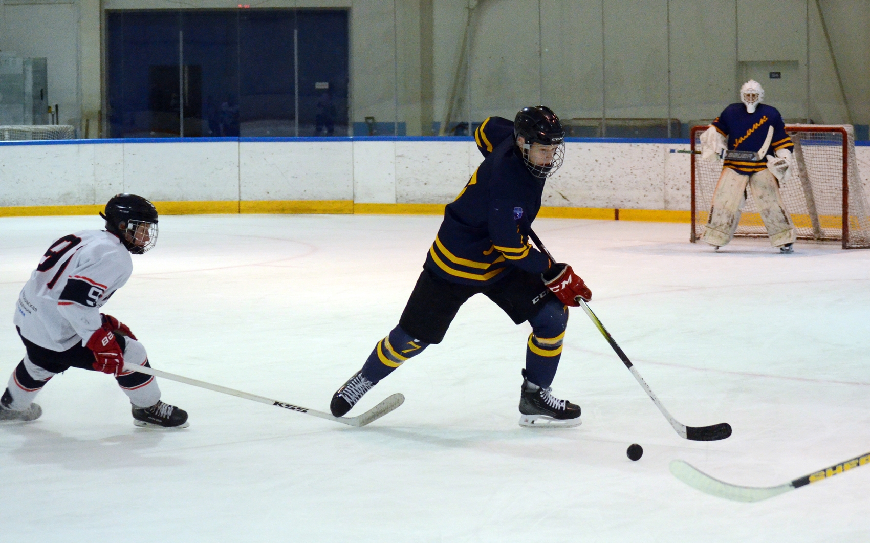 Фото: Химик-2009 – Снежные Барсы – 9:2