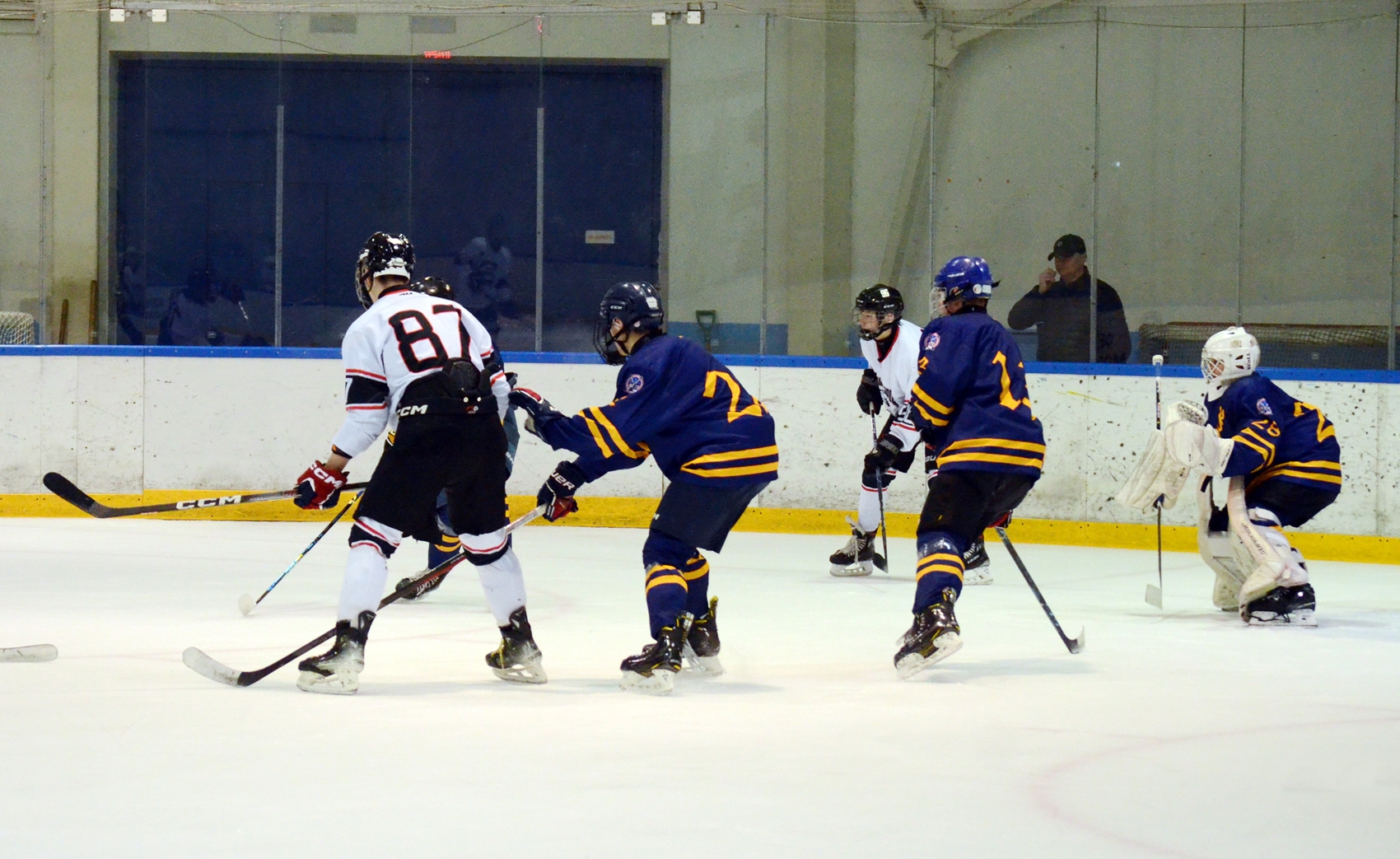 Фото: Химик-2009 – Снежные Барсы – 9:2