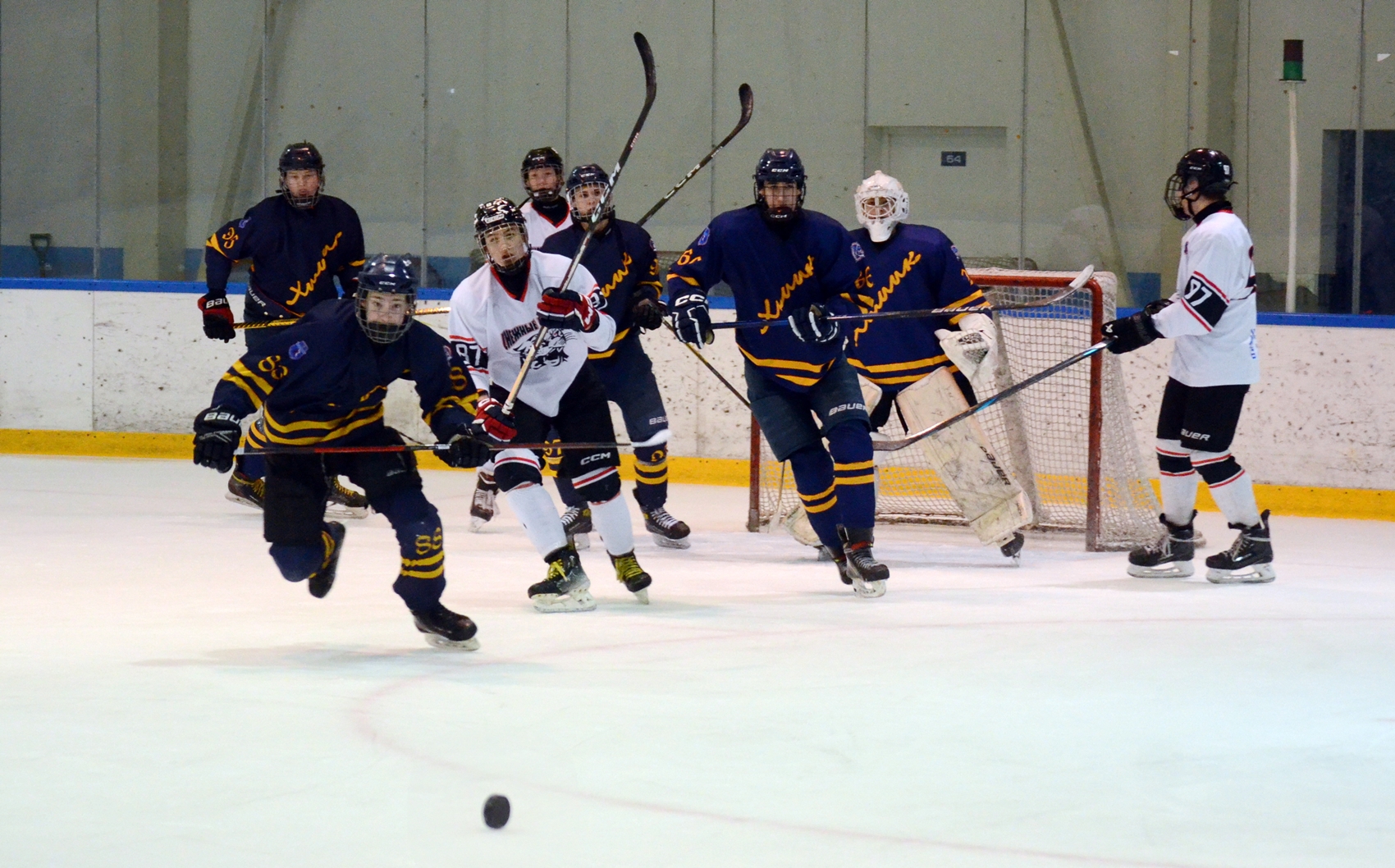 Фото: Химик-2009 – Снежные Барсы – 9:2