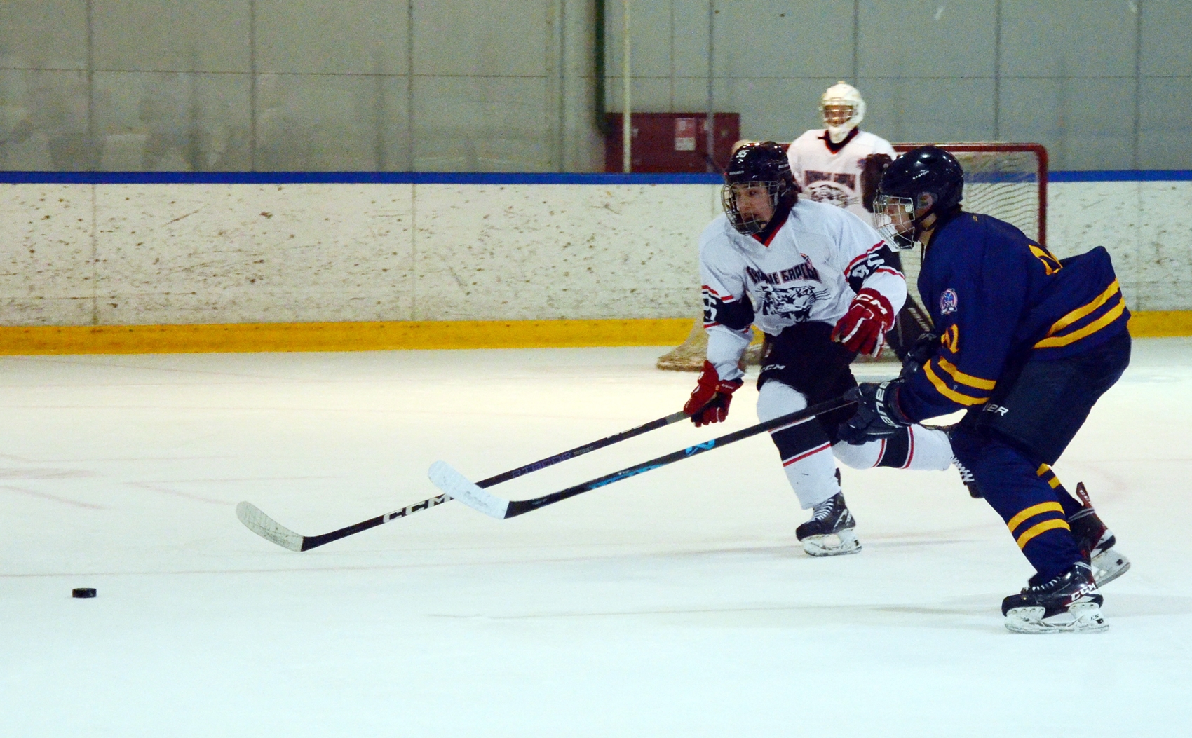 Фото: Химик-2009 – Снежные Барсы – 9:2