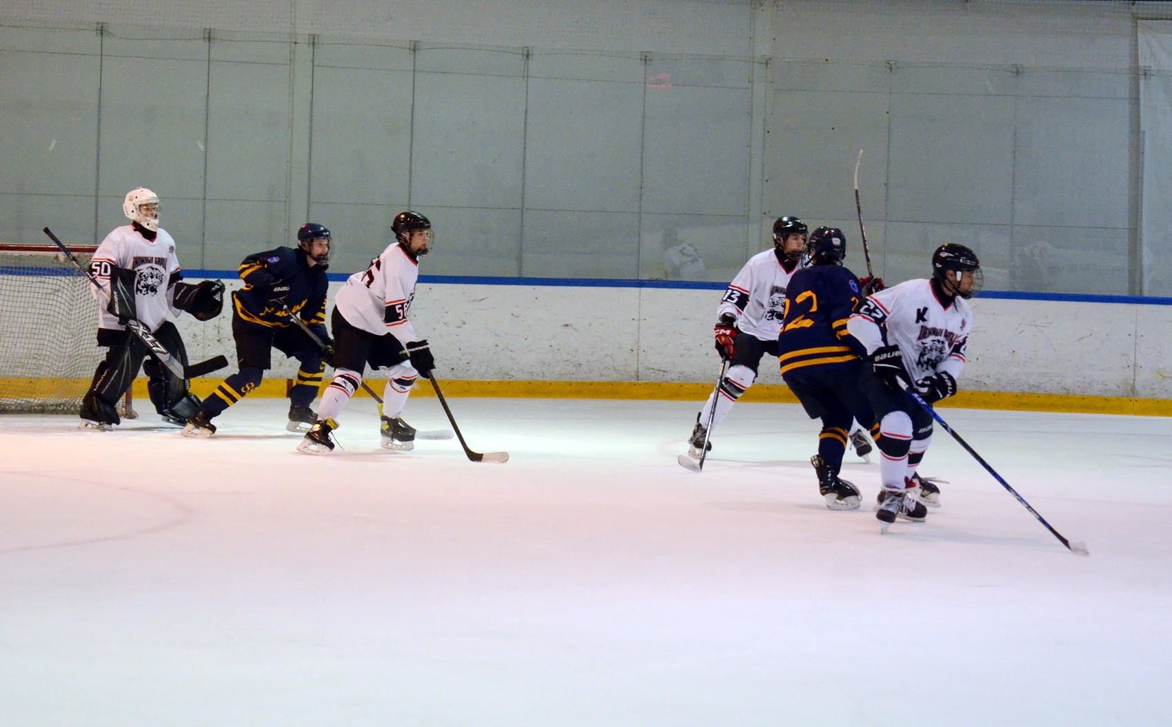 Фото: Химик-2009 – Снежные Барсы – 9:2