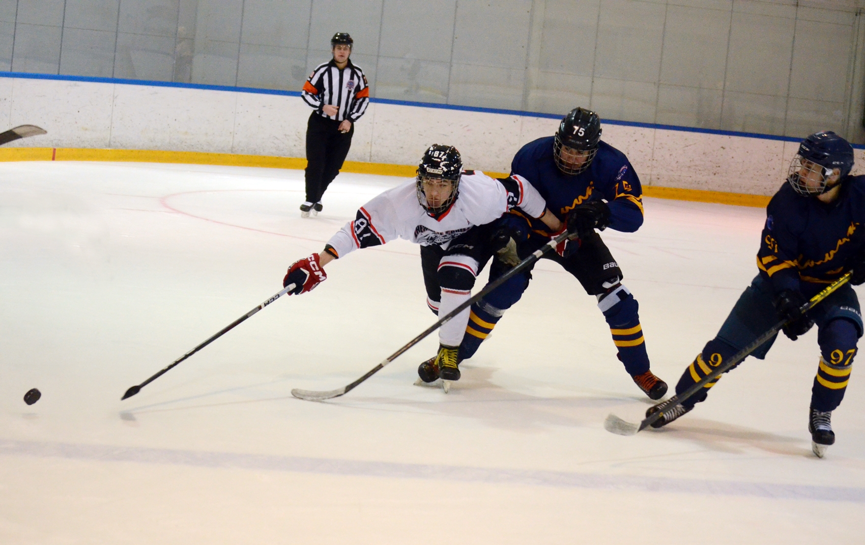 Фото: Химик-2009 – Снежные Барсы – 9:2