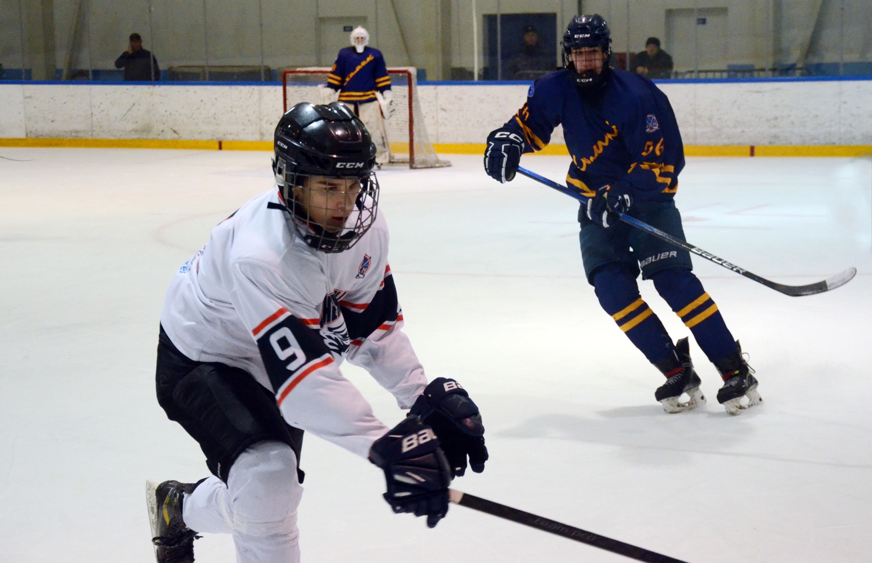 Фото: Химик-2009 – Снежные Барсы – 9:2