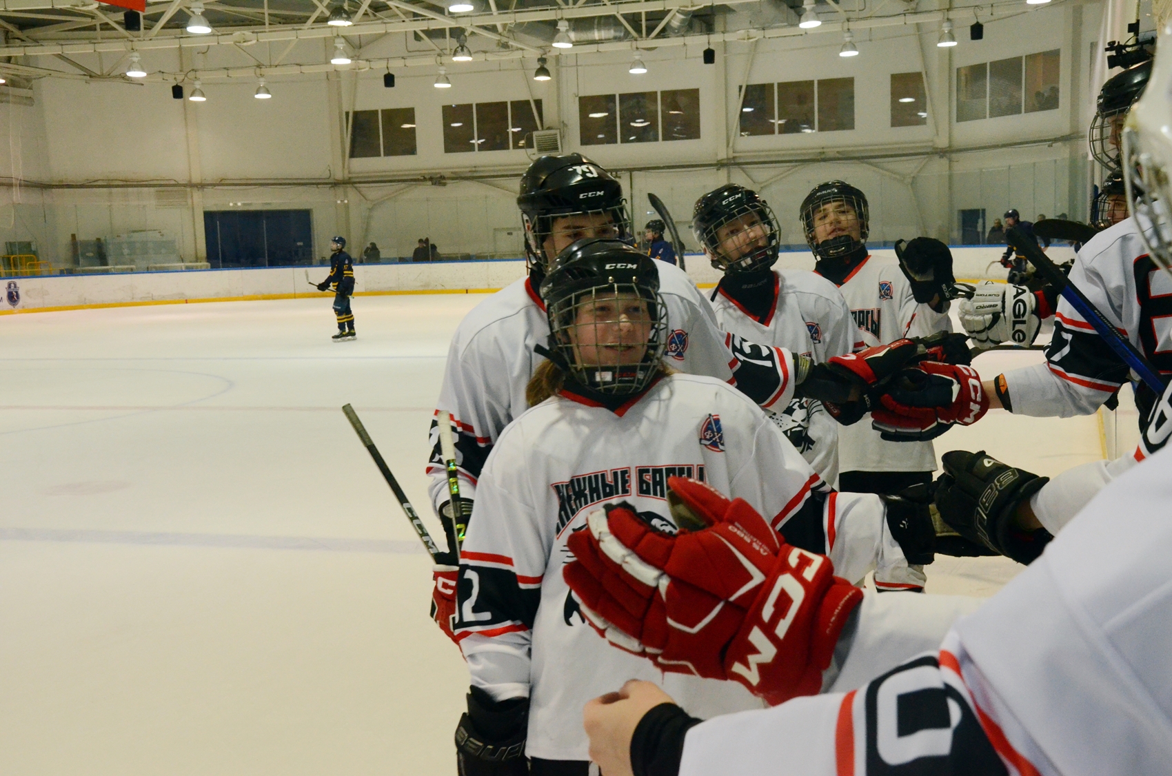 Фото: Химик-2009 – Снежные Барсы – 9:2