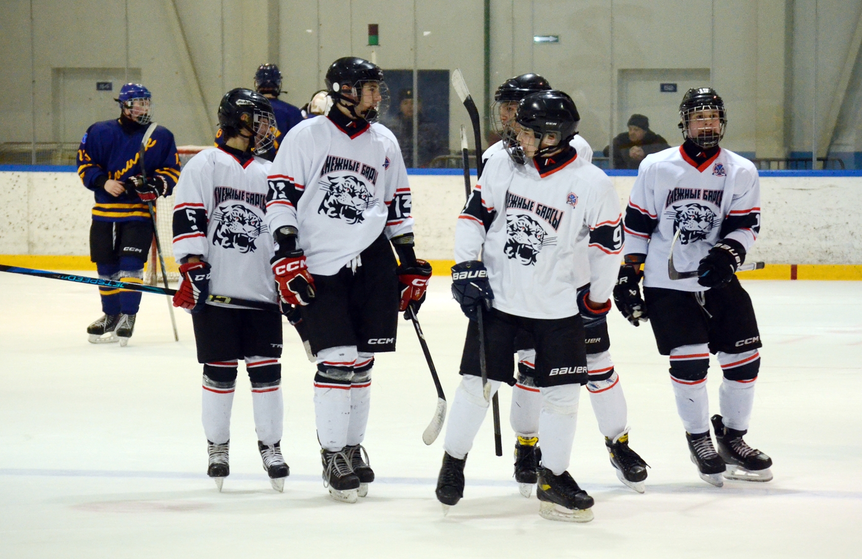 Фото: Химик-2009 – Снежные Барсы – 9:2