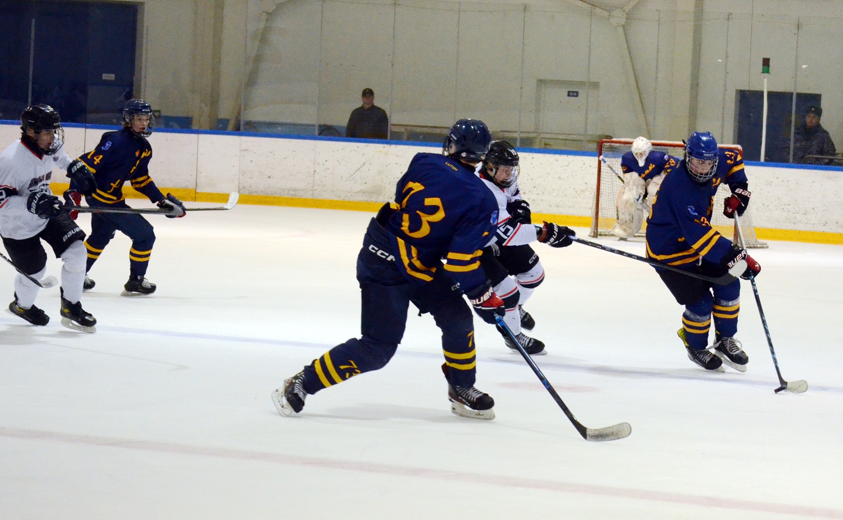 Фото: Химик-2009 – Снежные Барсы – 9:2