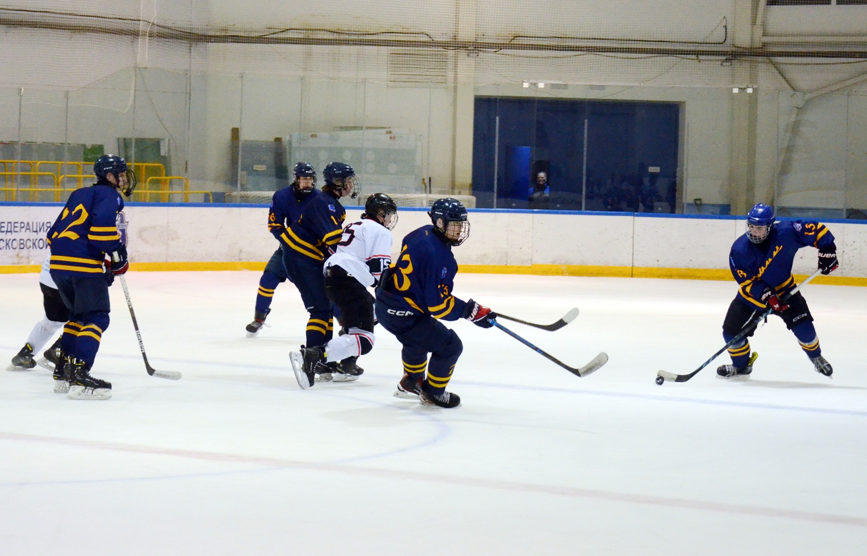 Фото: Химик-2009 – Снежные Барсы – 9:2