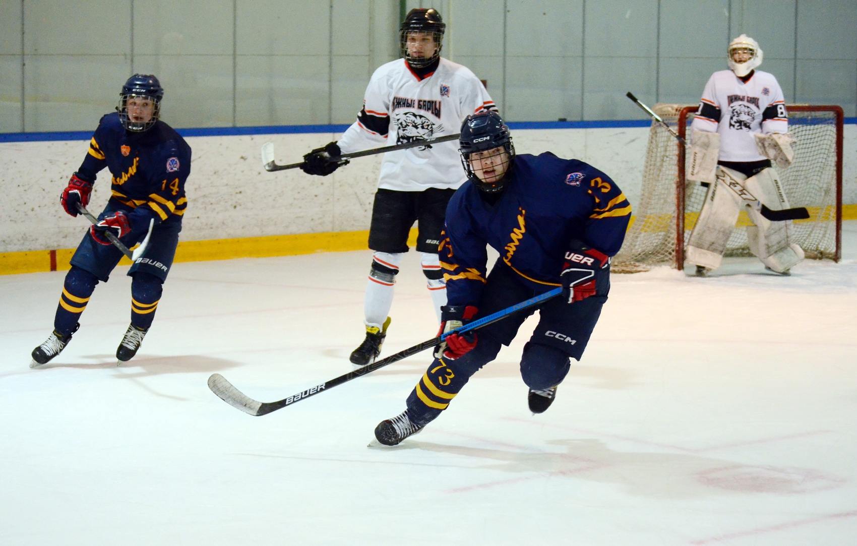 Фото: Химик-2009 – Снежные Барсы – 9:2