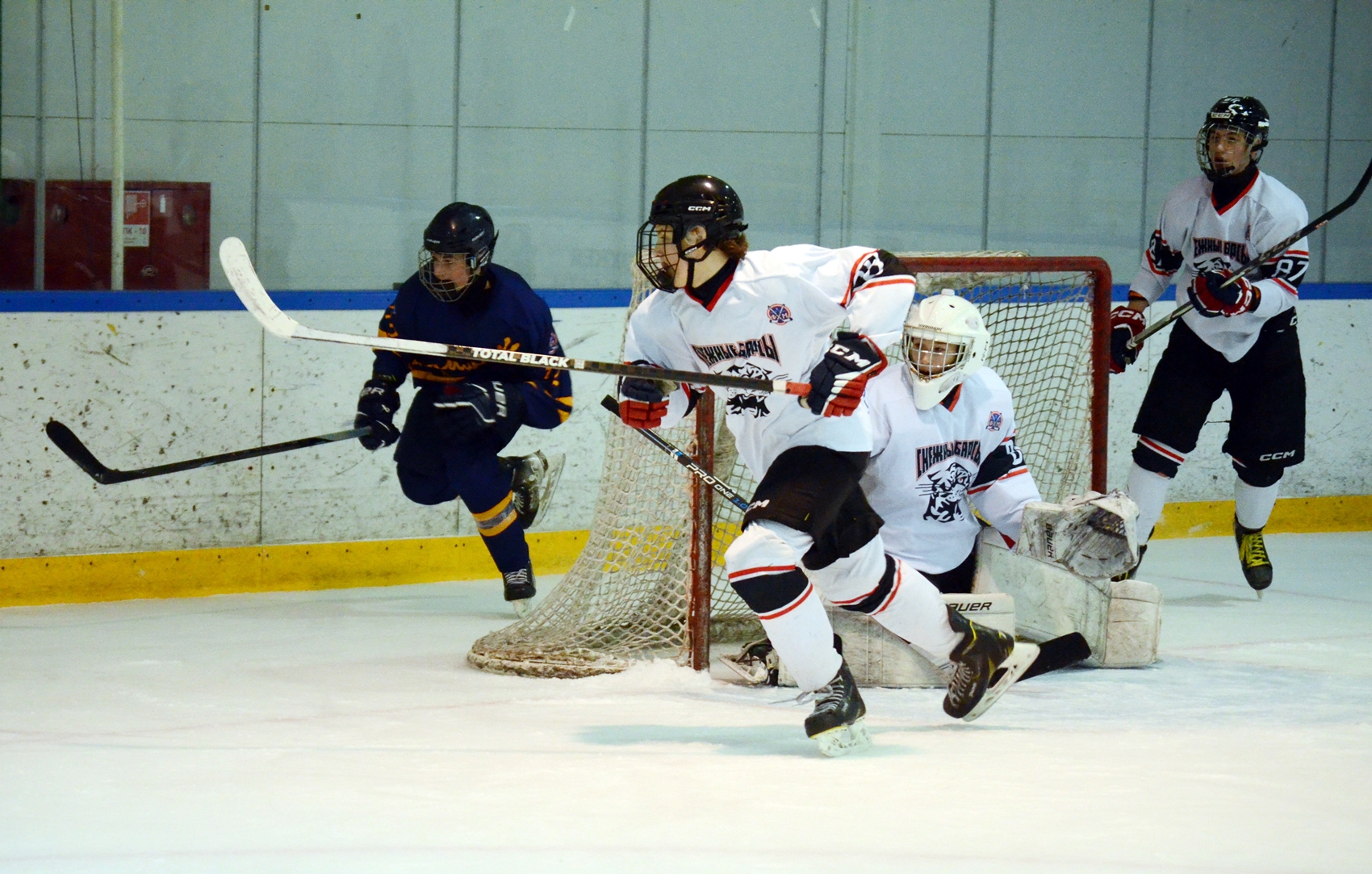 Фото: Химик-2009 – Снежные Барсы – 9:2