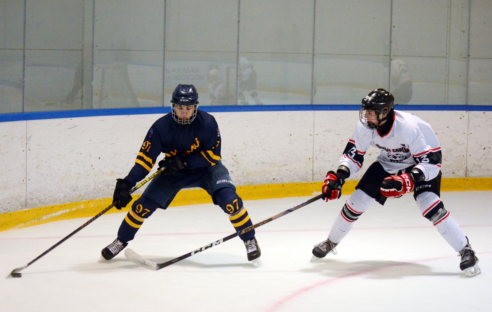 Фото: Химик-2009 – Снежные Барсы – 9:2