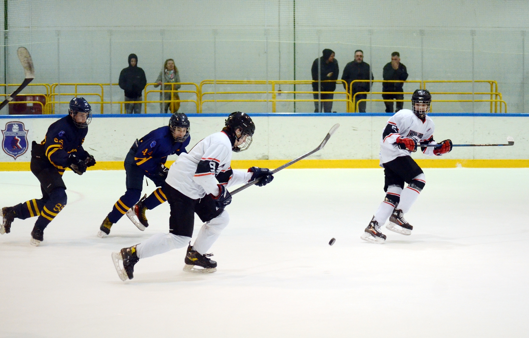 Фото: Химик-2009 – Снежные Барсы – 9:2