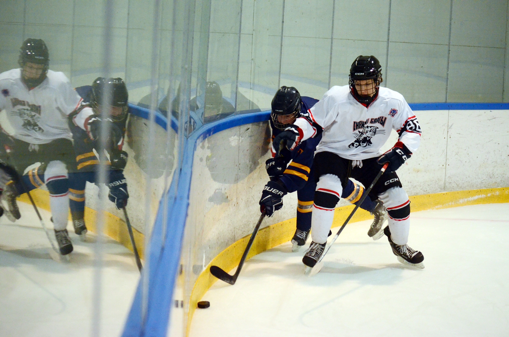 Фото: Химик-2009 – Снежные Барсы – 9:2