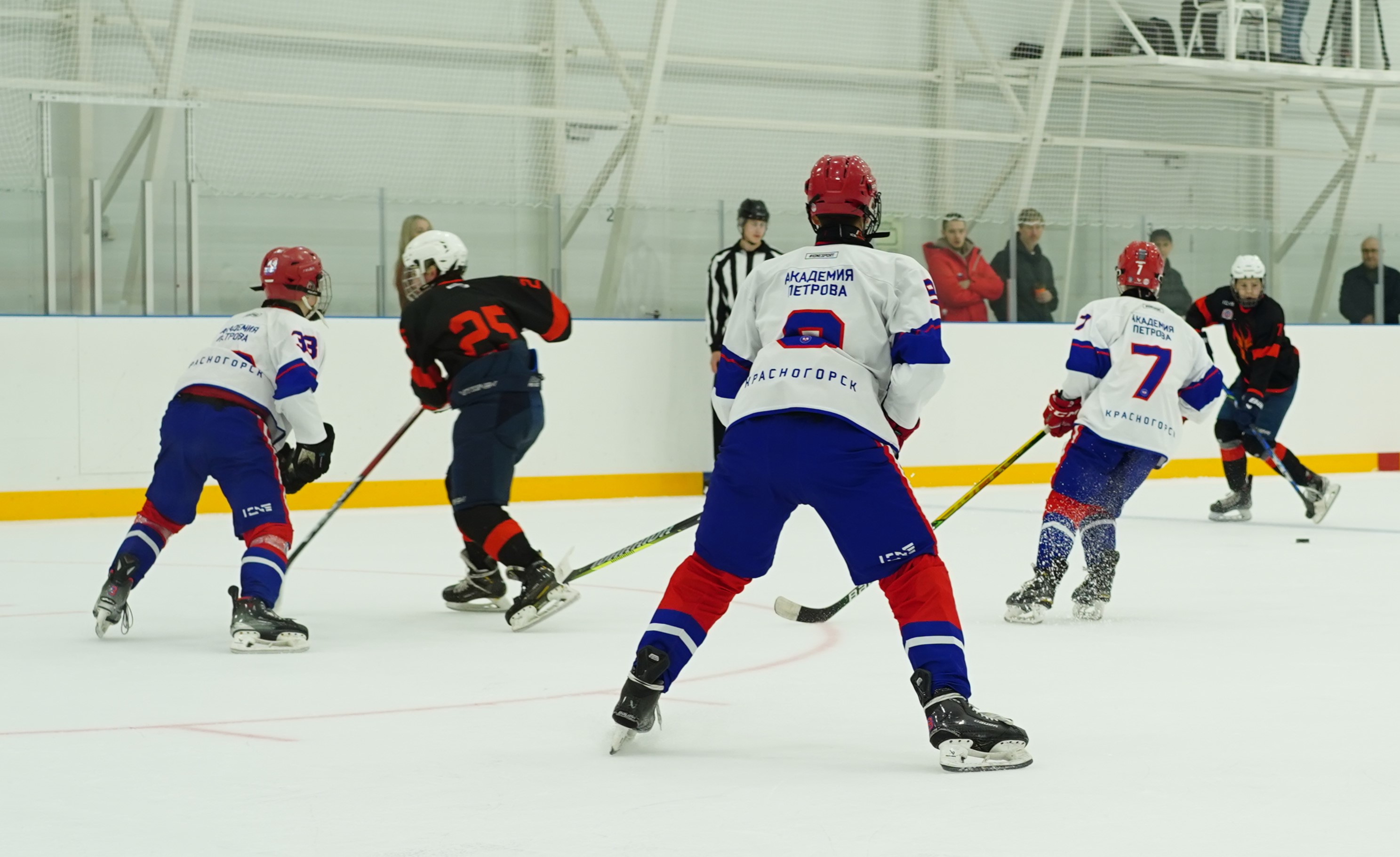 Фото: Чемпион-2010 – Академия Петрова – 5:11 