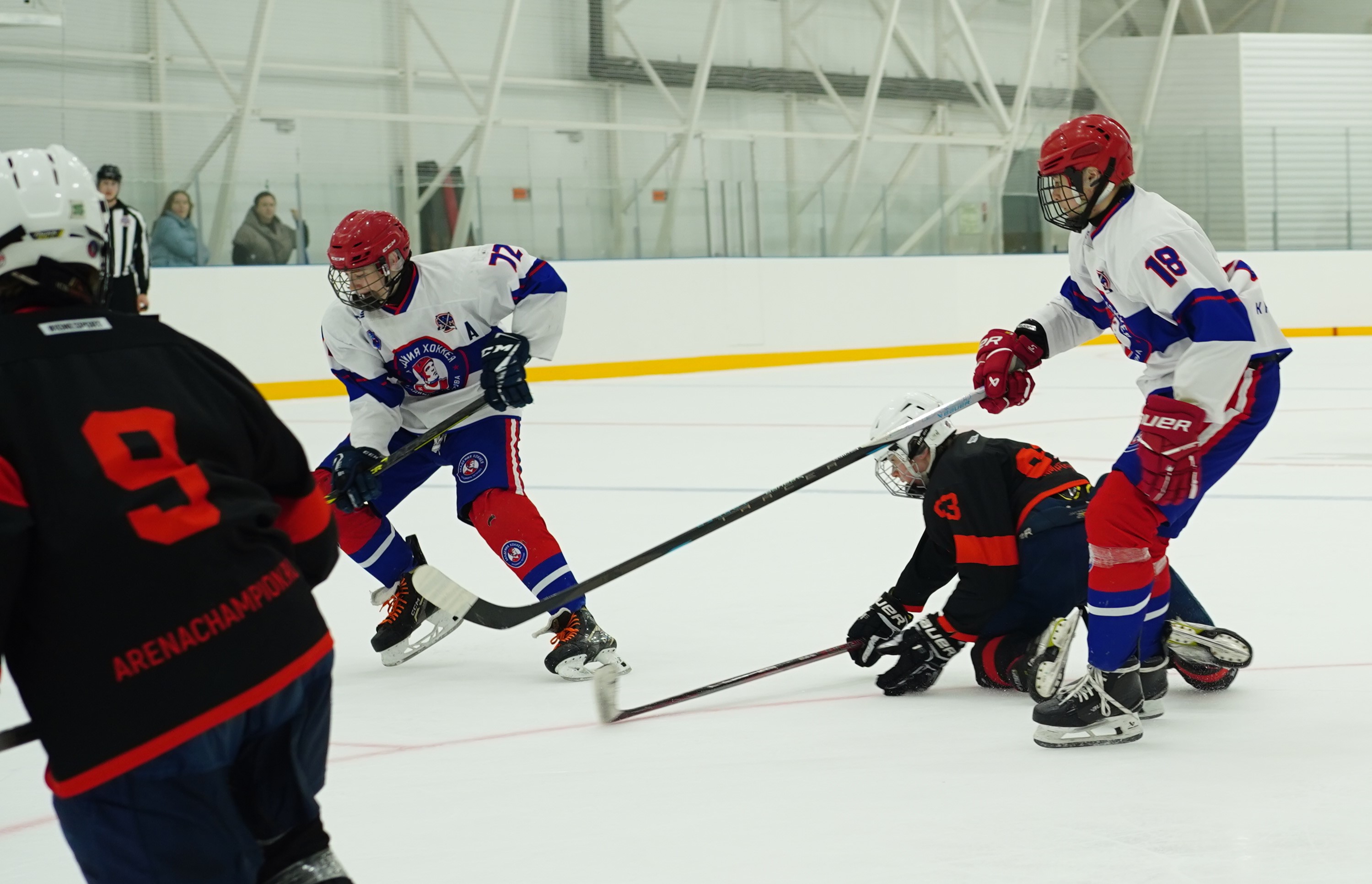 Фото: Чемпион-2010 – Академия Петрова – 5:11 
