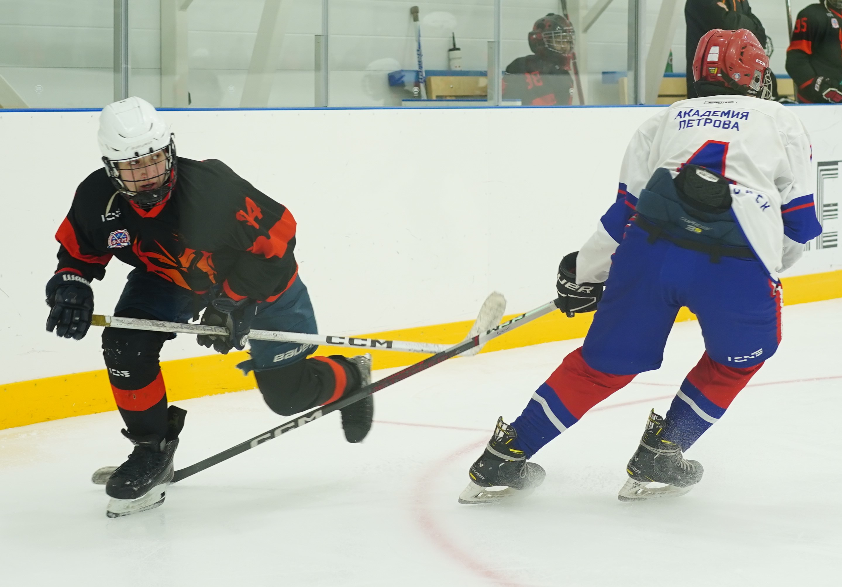 Фото: Чемпион-2010 – Академия Петрова – 5:11 