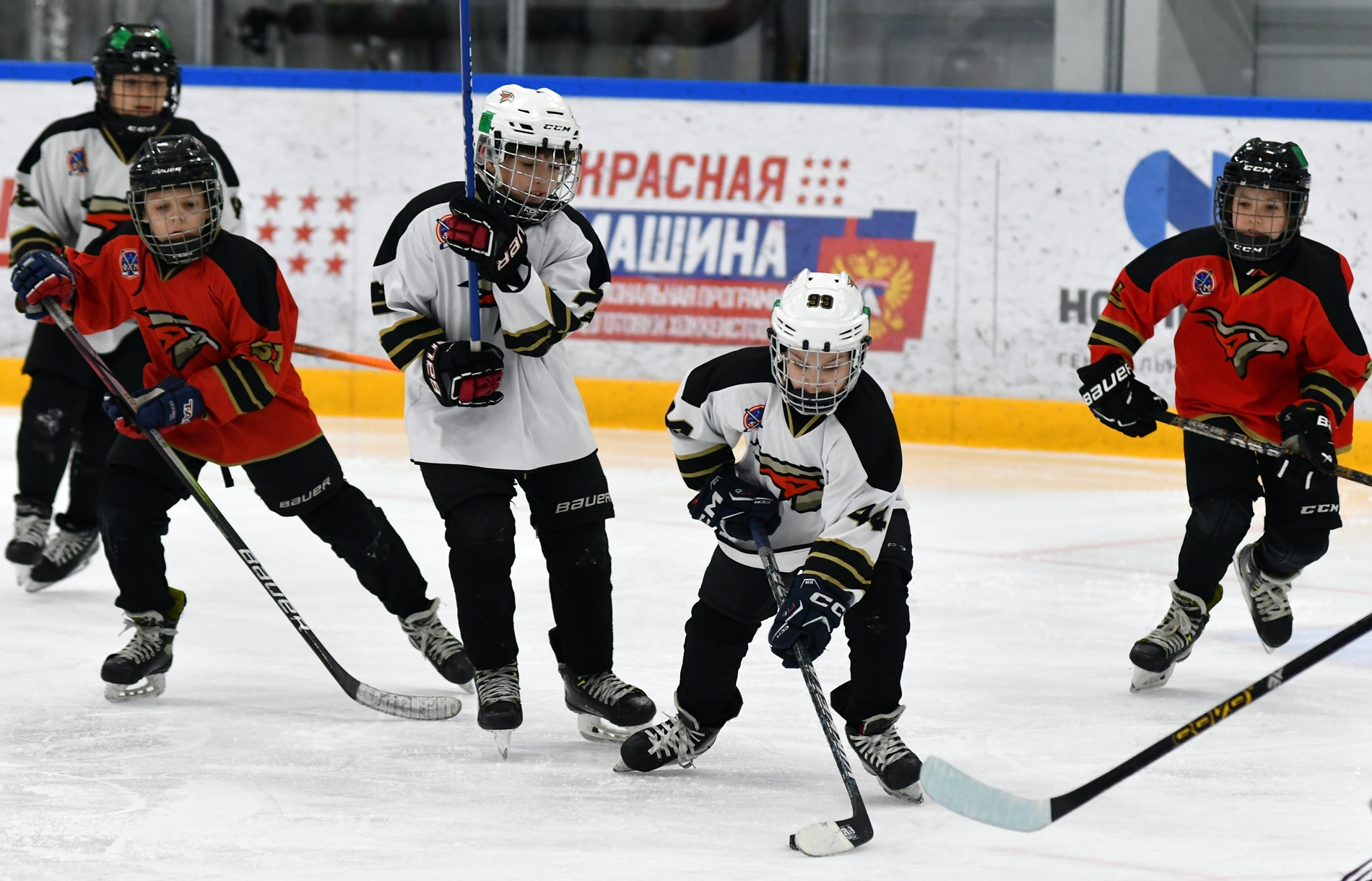 Фото: Кубок ФХМ среди команд 2016 года, второй этап. Арена Арктика