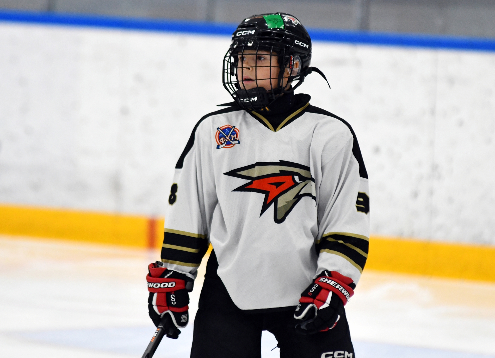 Фото: Кубок ФХМ среди команд 2016 года, второй этап. Арена Арктика