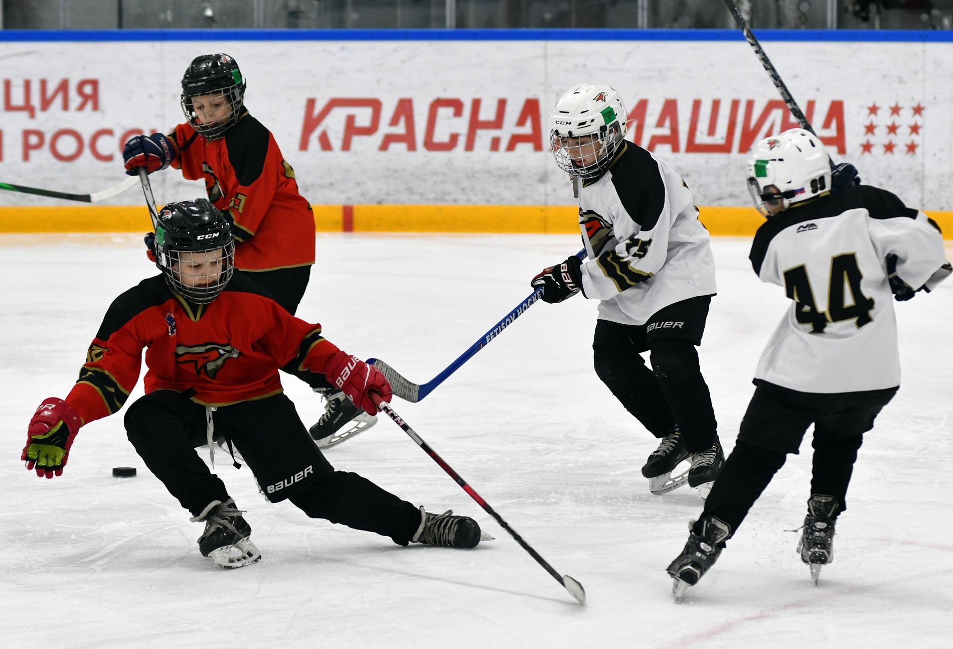 Фото: Кубок ФХМ среди команд 2016 года, второй этап. Арена Арктика