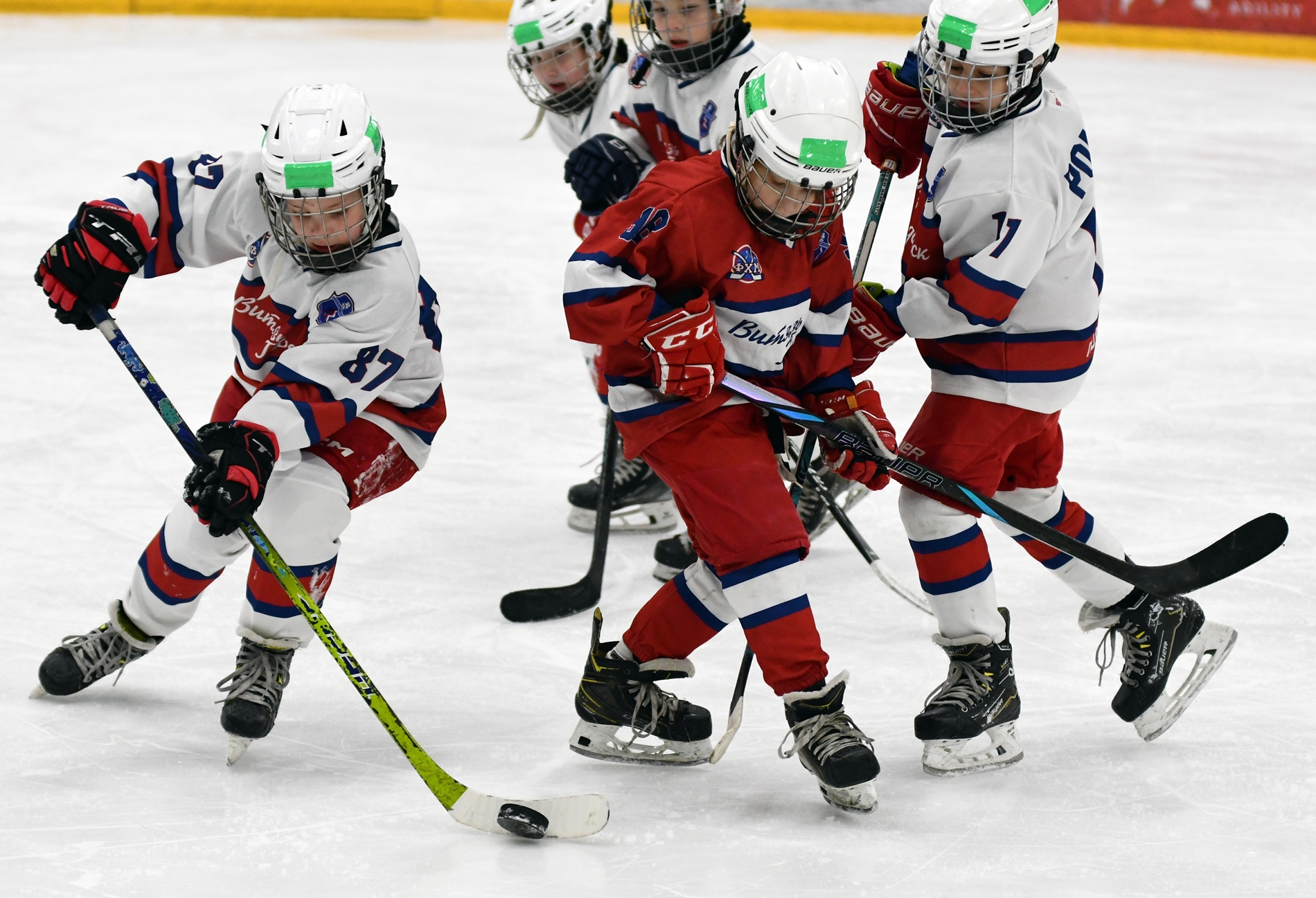 Фото: Кубок ФХМ среди команд 2016 года, второй этап. Арена Арктика