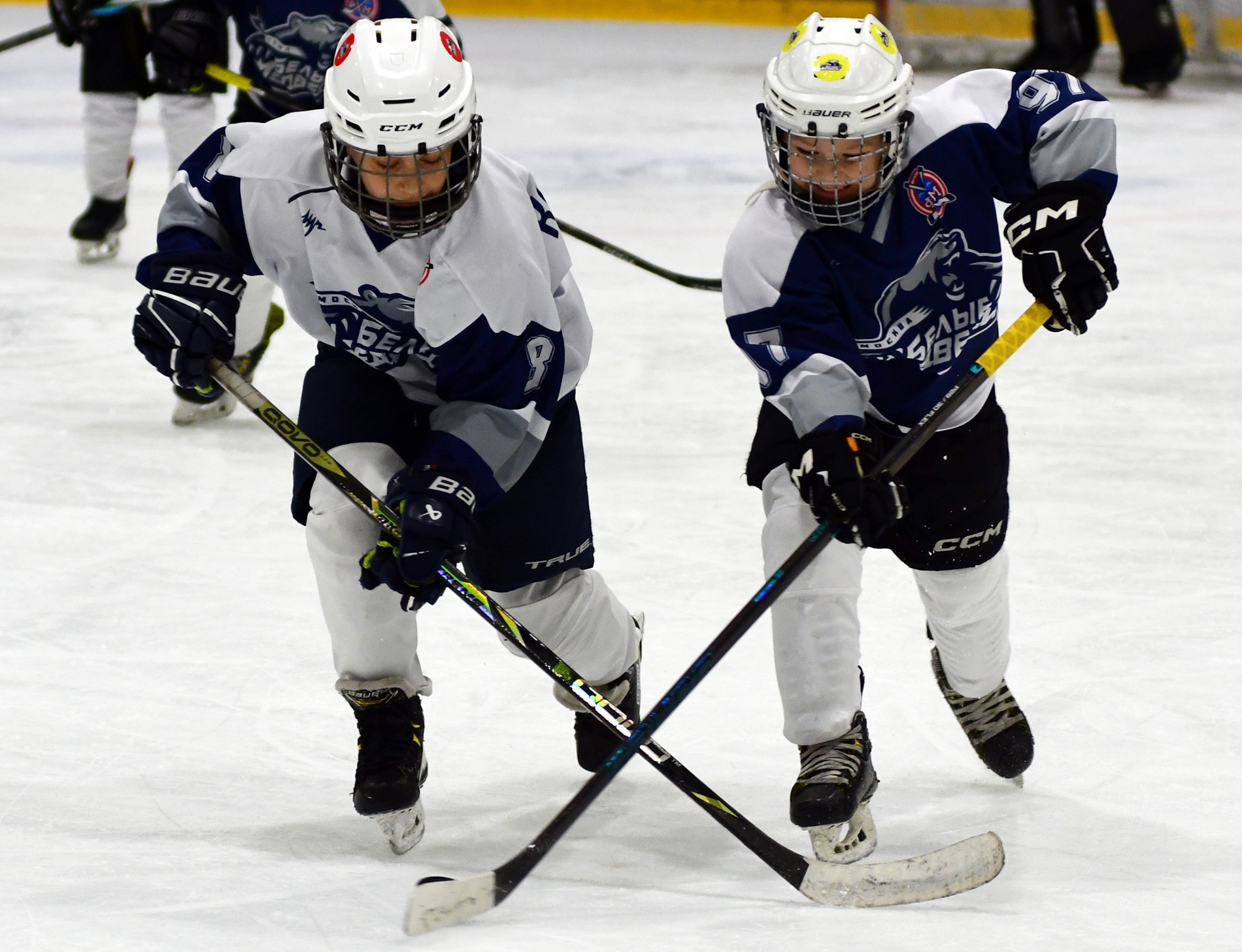 Фото: Кубок ФХМ среди команд 2016 года, второй этап. Arena Play Коммунарка