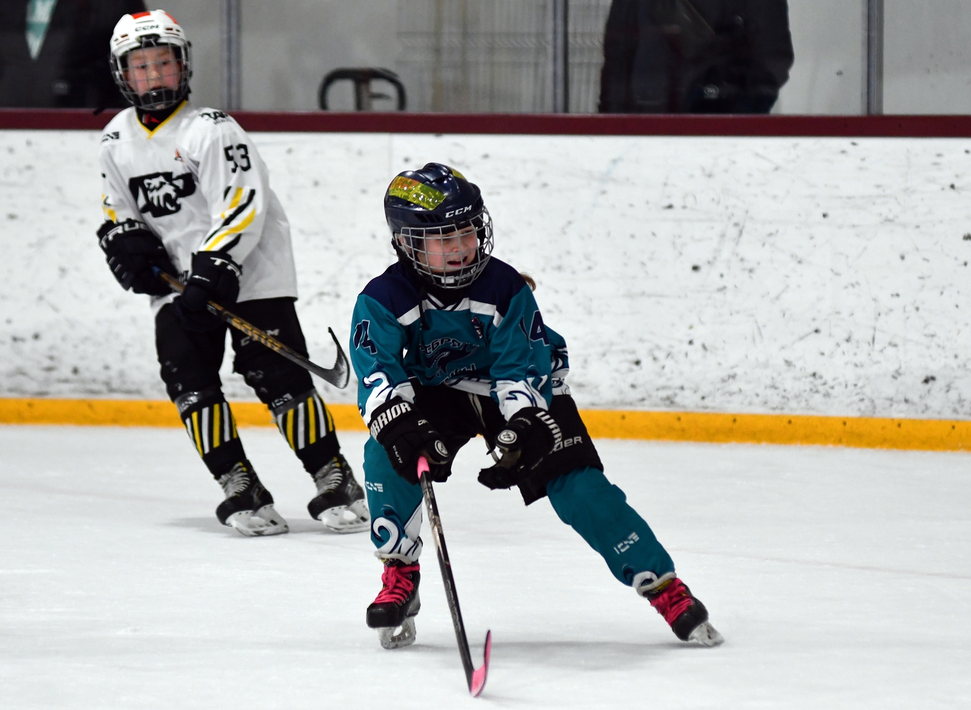 Фото: Кубок ФХМ среди команд 2016 года, второй этап. Арена Сталкер