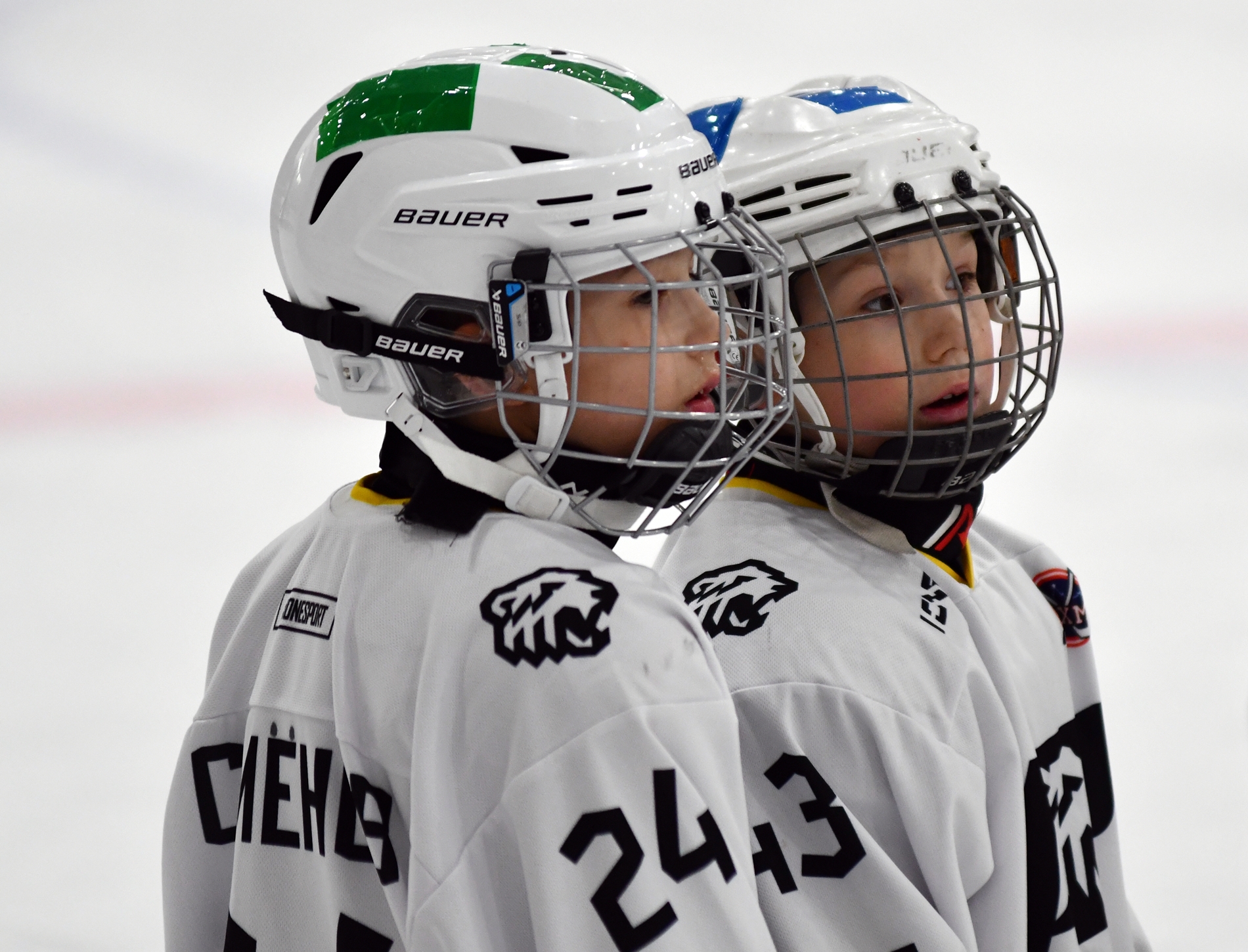Фото: Кубок ФХМ среди команд 2016 года, второй этап. Арена Сталкер
