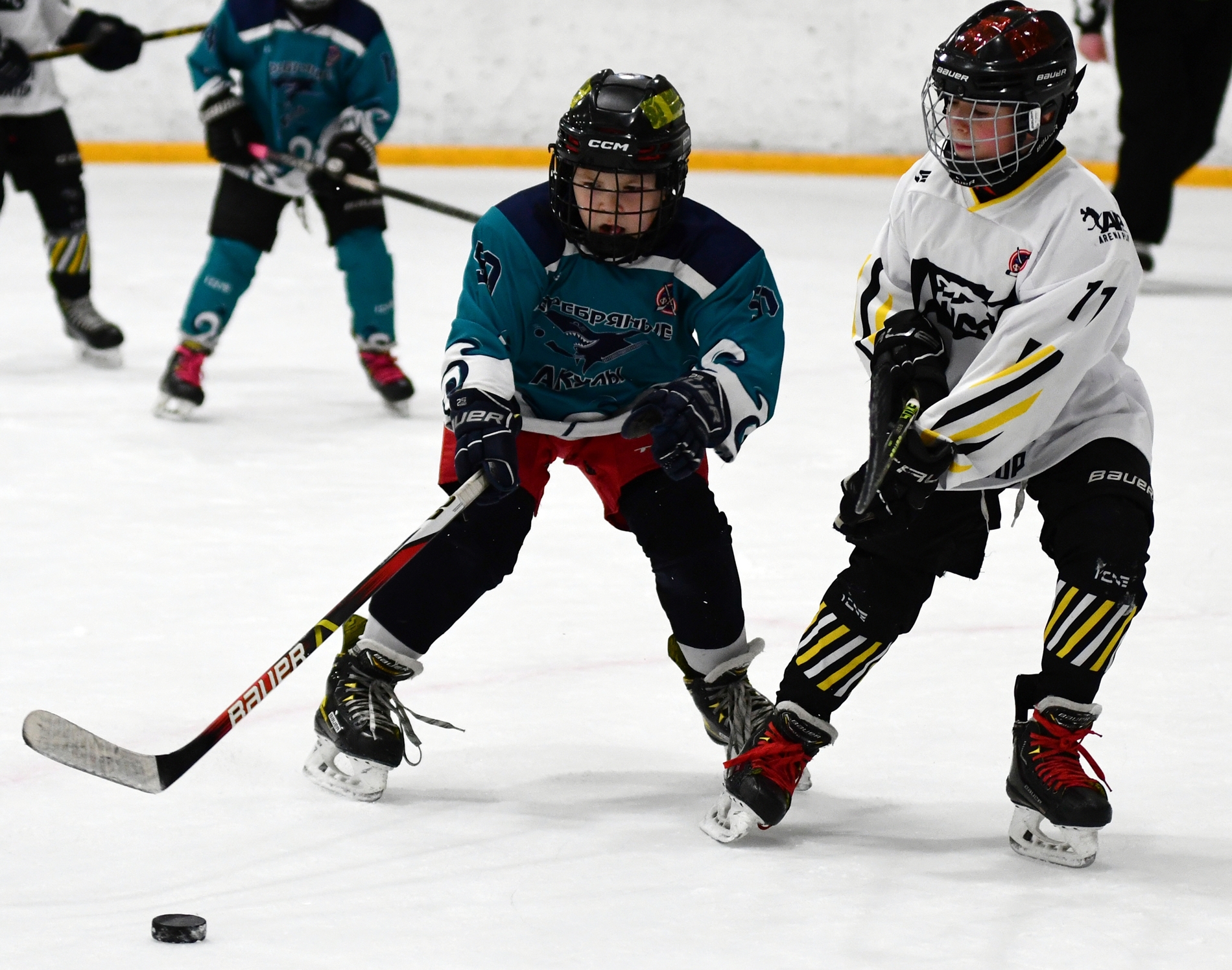 Фото: Кубок ФХМ среди команд 2016 года, второй этап. Арена Сталкер