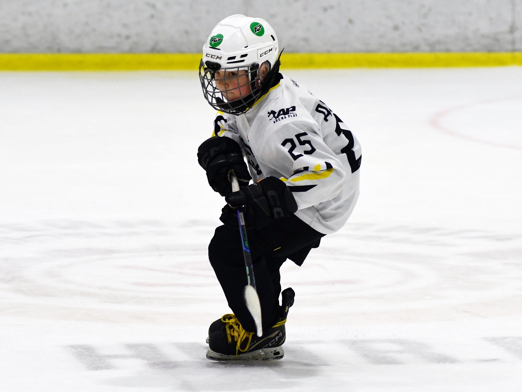 Фото: Кубок ФХМ среди команд 2016 года, второй этап. Arena Play Север