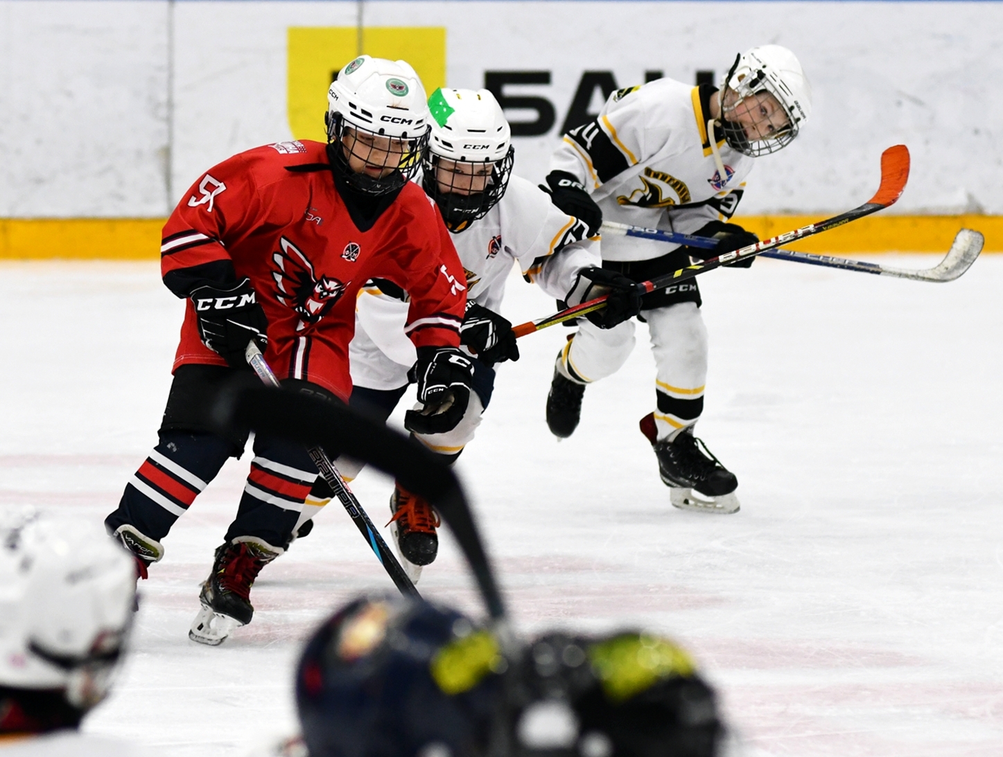 Фото: Кубок ФХМ среди команд 2016 года, плей-офф второго этапа. Арена Крылья Советов