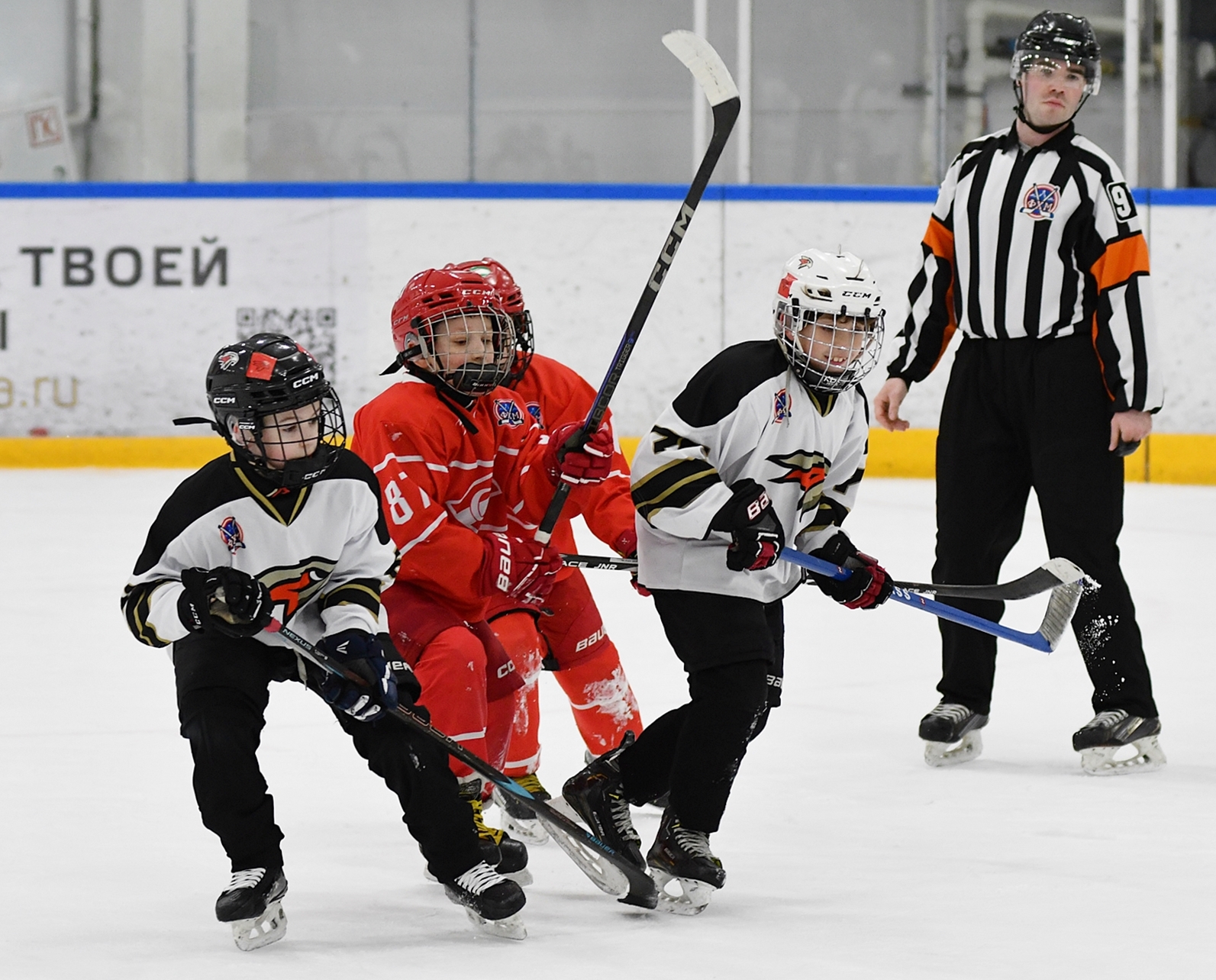 Фото: Кубок ФХМ среди команд 2016 года, финалы второго этапа. Арена Арктика
