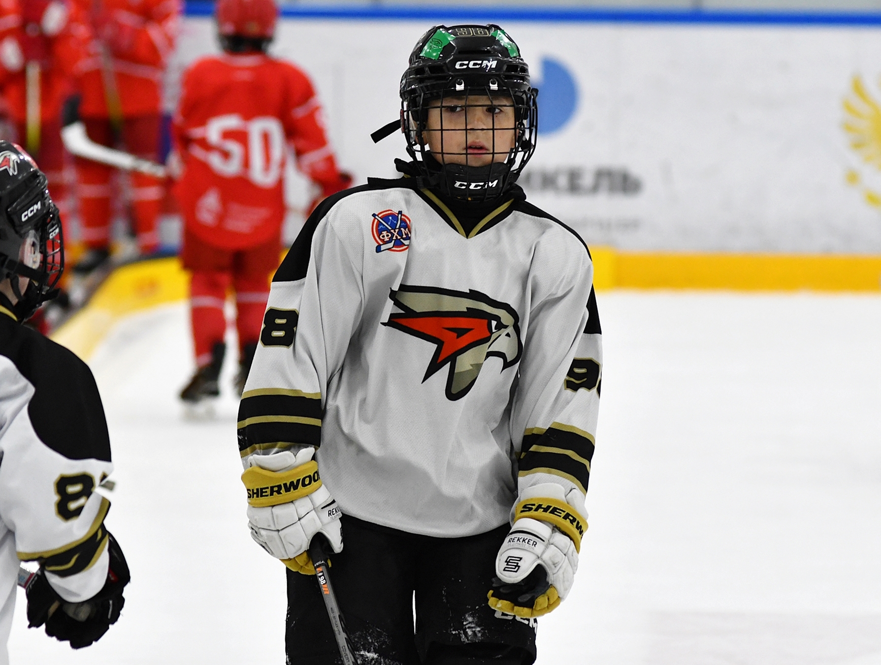 Фото: Кубок ФХМ среди команд 2016 года, финалы второго этапа. Арена Арктика