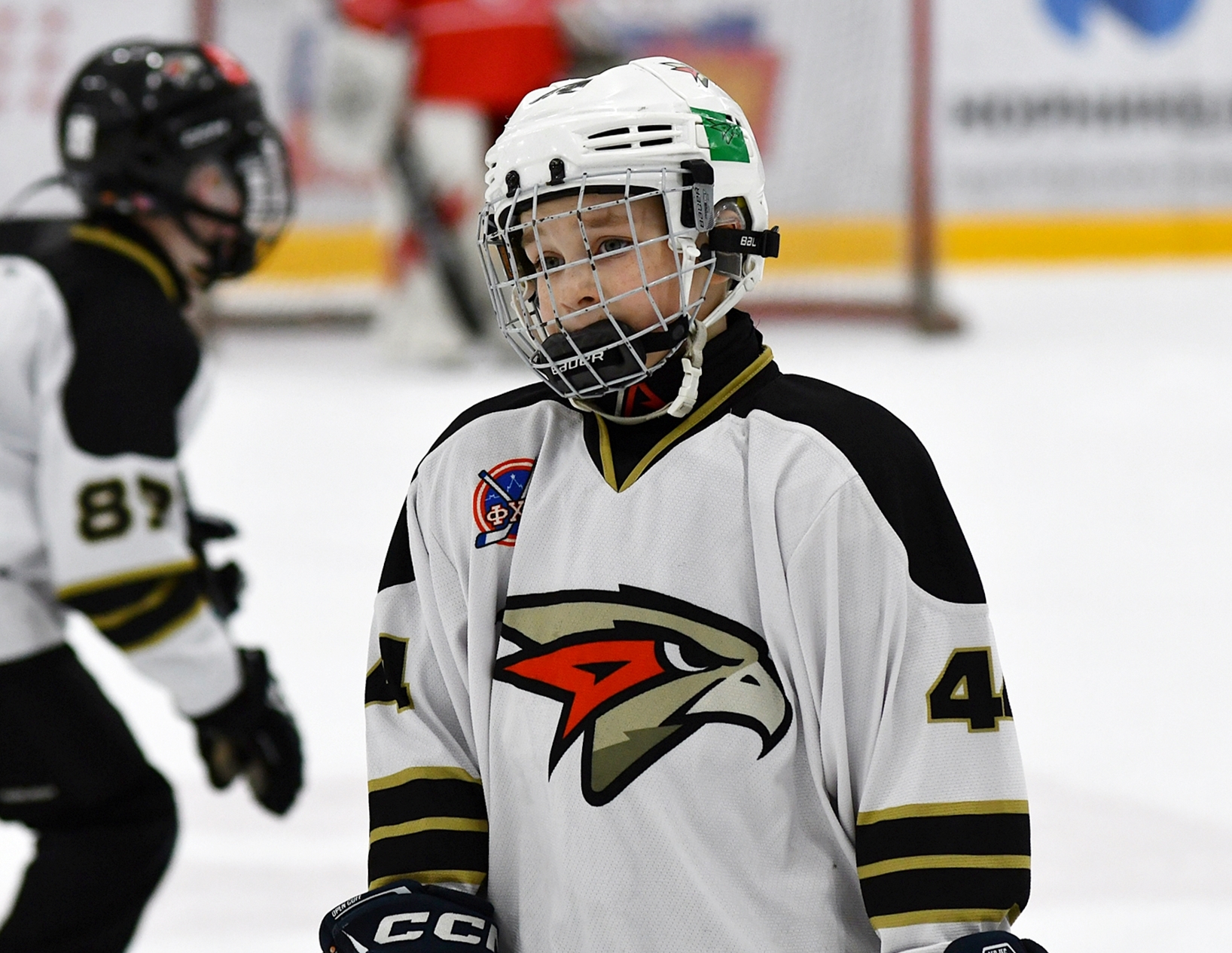 Фото: Кубок ФХМ среди команд 2016 года, финалы второго этапа. Арена Арктика