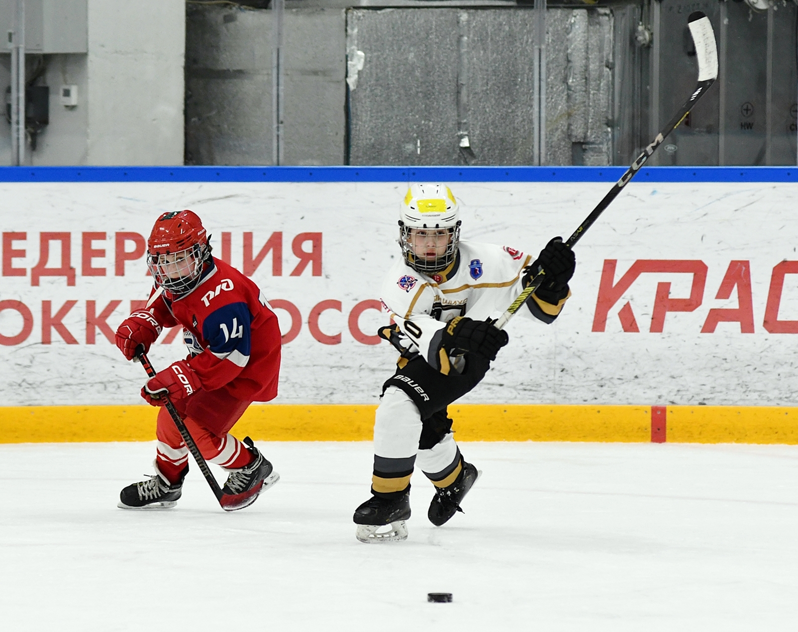 Фото: Кубок ФХМ среди команд 2016 года, финалы второго этапа. Арена Арктика