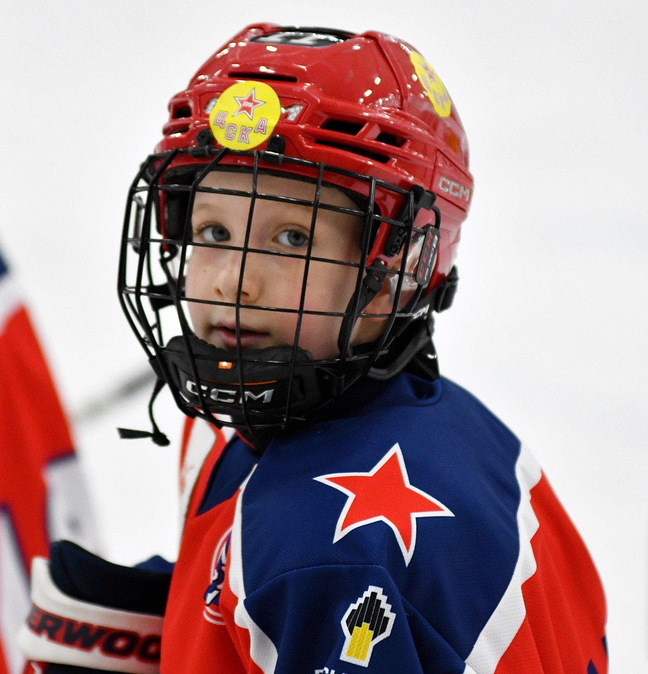 Фото: Кубок ФХМ среди команд 2016 года, финалы второго этапа. Арена Арктика