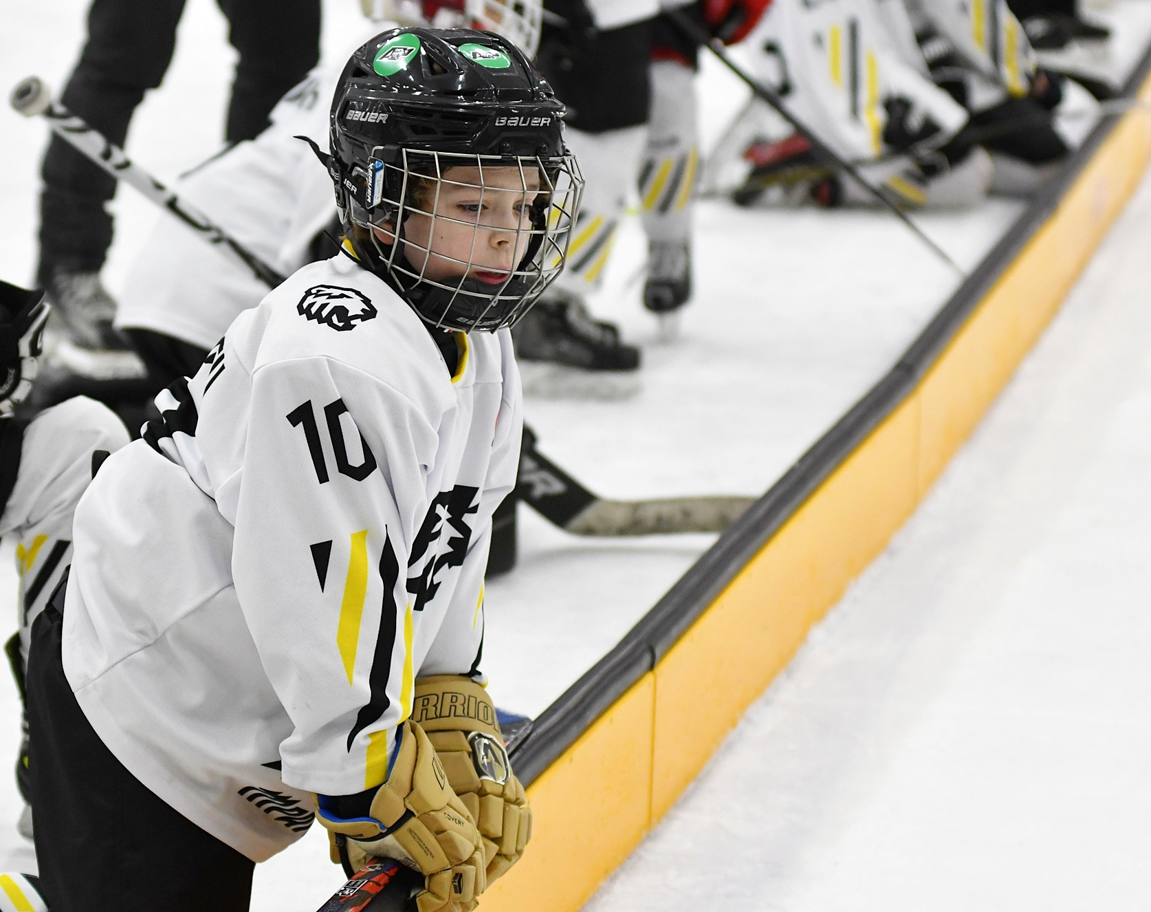 Фото: Кубок ФХМ среди команд 2016 года, финалы второго этапа. Арена Арктика