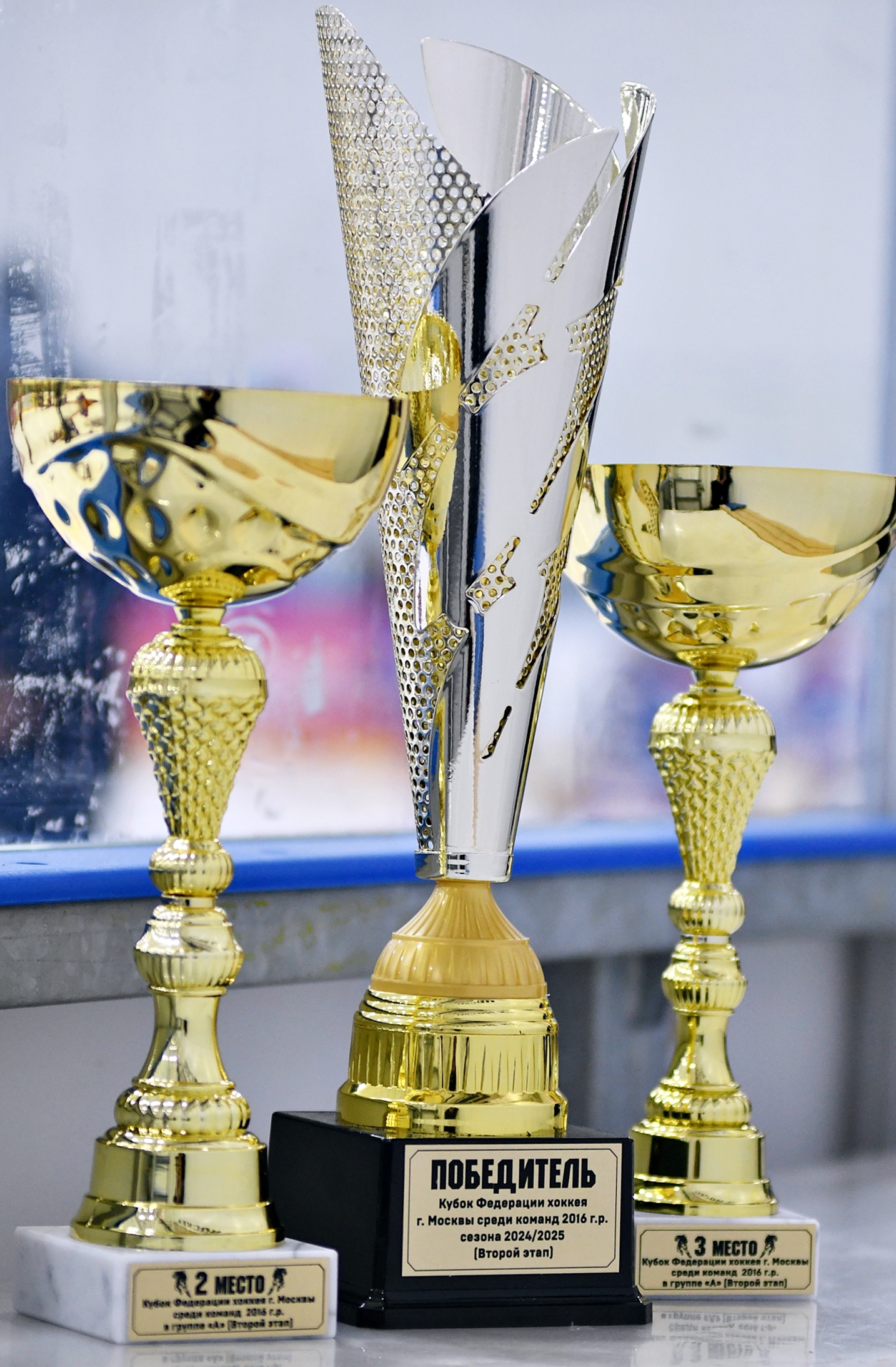 Фото: Кубок ФХМ среди команд 2016 года, финалы второго этапа. Арена Арктика