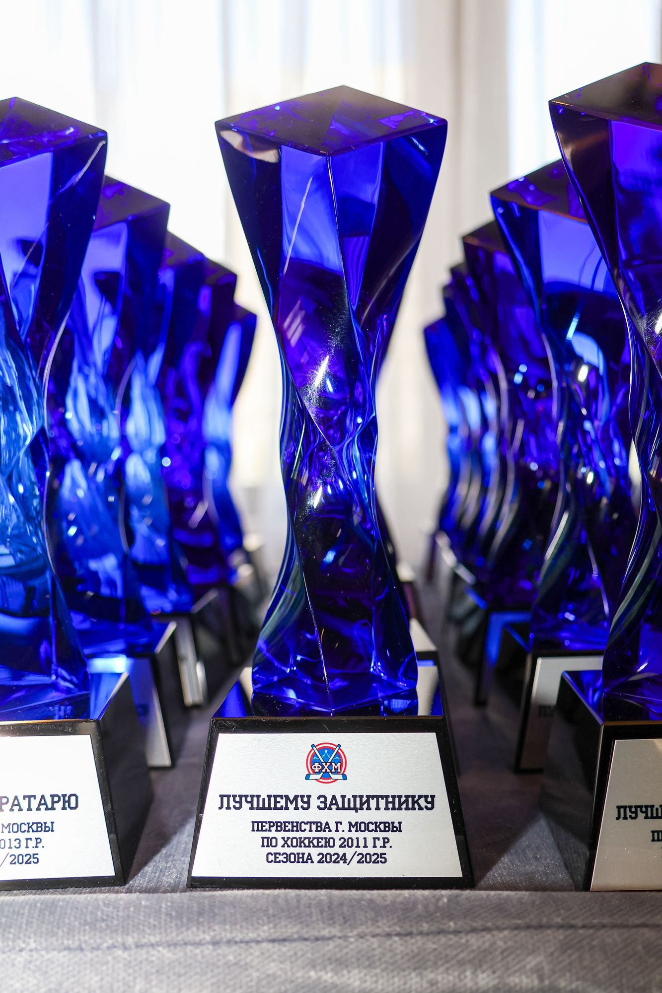 Фото: Церемония награждения победителей и призёров соревнований ФХМ