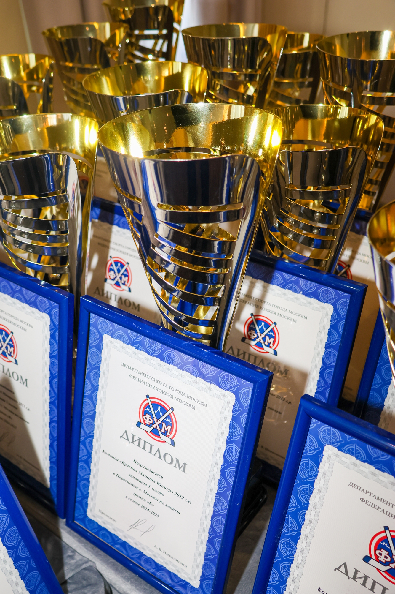 Фото: Церемония награждения победителей и призёров соревнований ФХМ