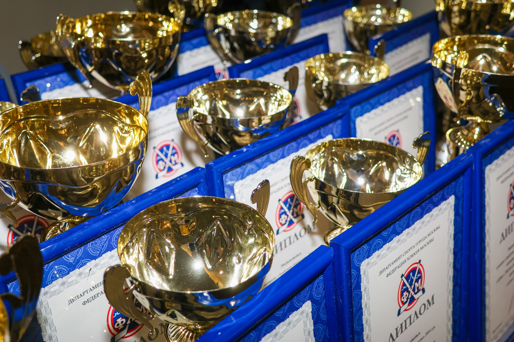 Фото: Церемония награждения победителей и призёров соревнований ФХМ