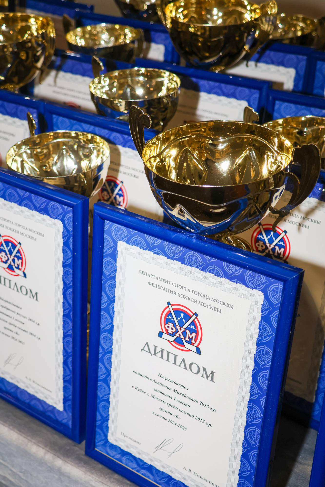 Фото: Церемония награждения победителей и призёров соревнований ФХМ